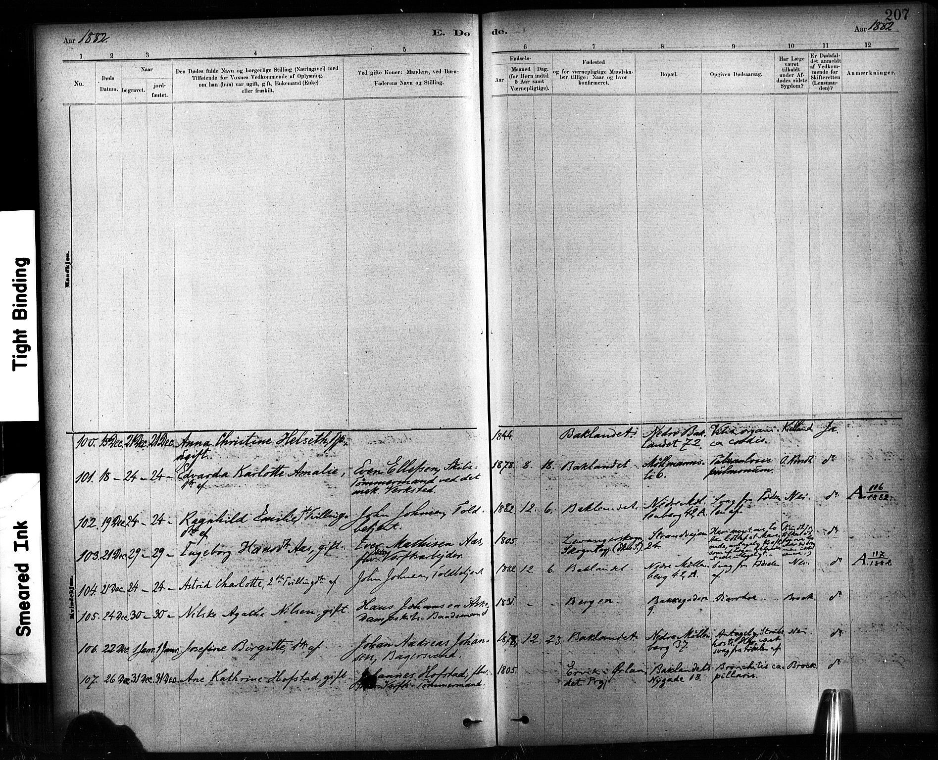 Ministerialprotokoller, klokkerbøker og fødselsregistre - Sør-Trøndelag, SAT/A-1456/604/L0189: Parish register (official) no. 604A10, 1878-1892, p. 207