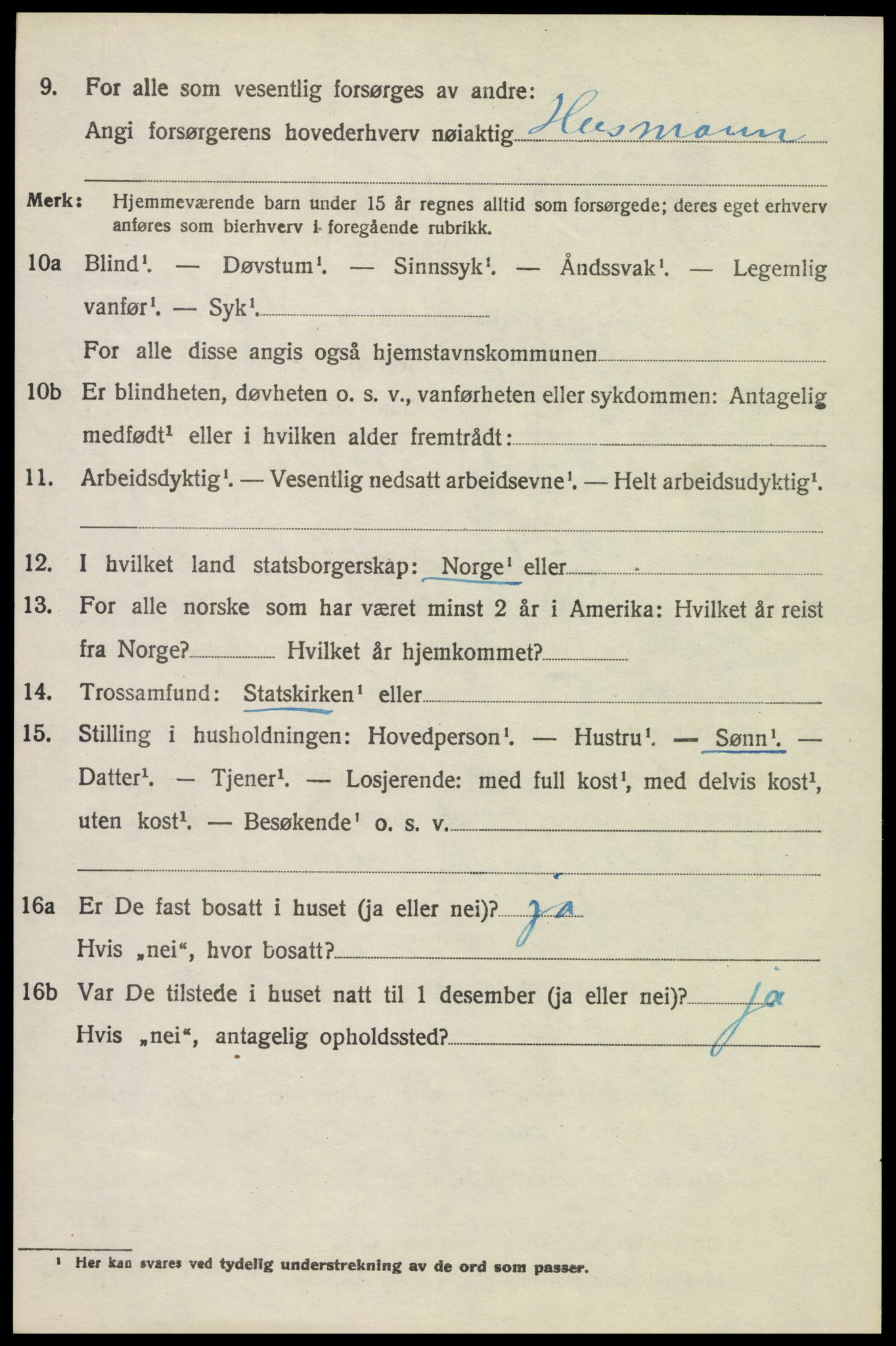 SAH, 1920 census for Vang (Hedmark), 1920, p. 15374