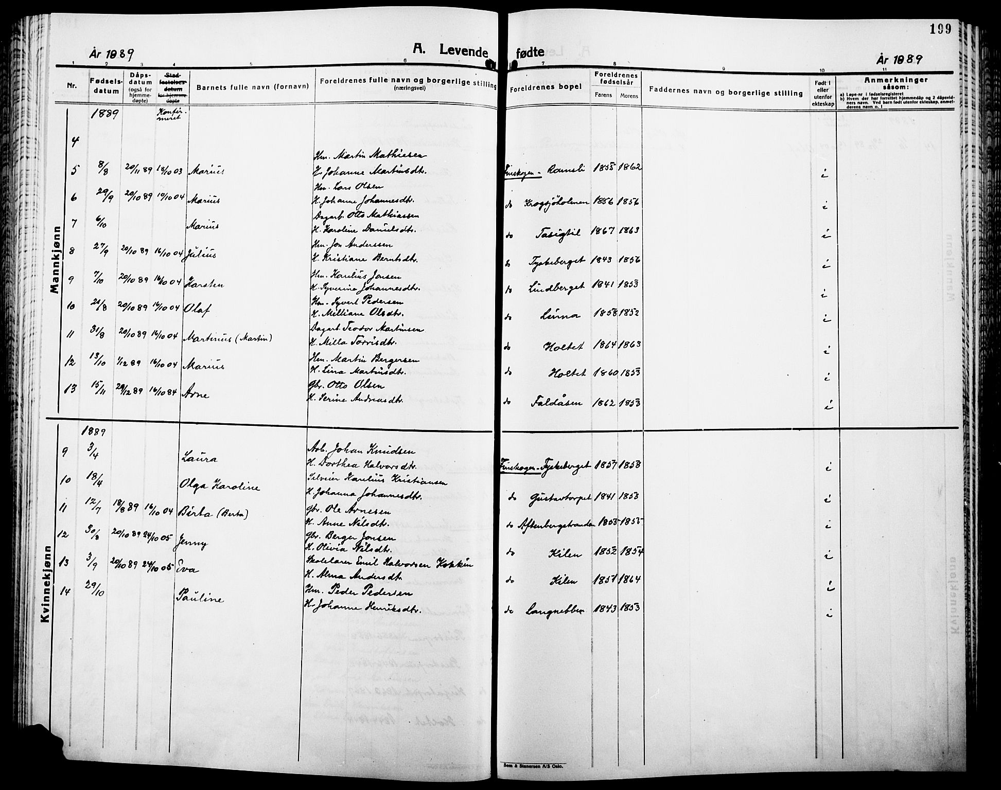 Åsnes prestekontor, SAH/PREST-042/H/Ha/Haa/L0000B: Parish register (official), 1870-1889, p. 199