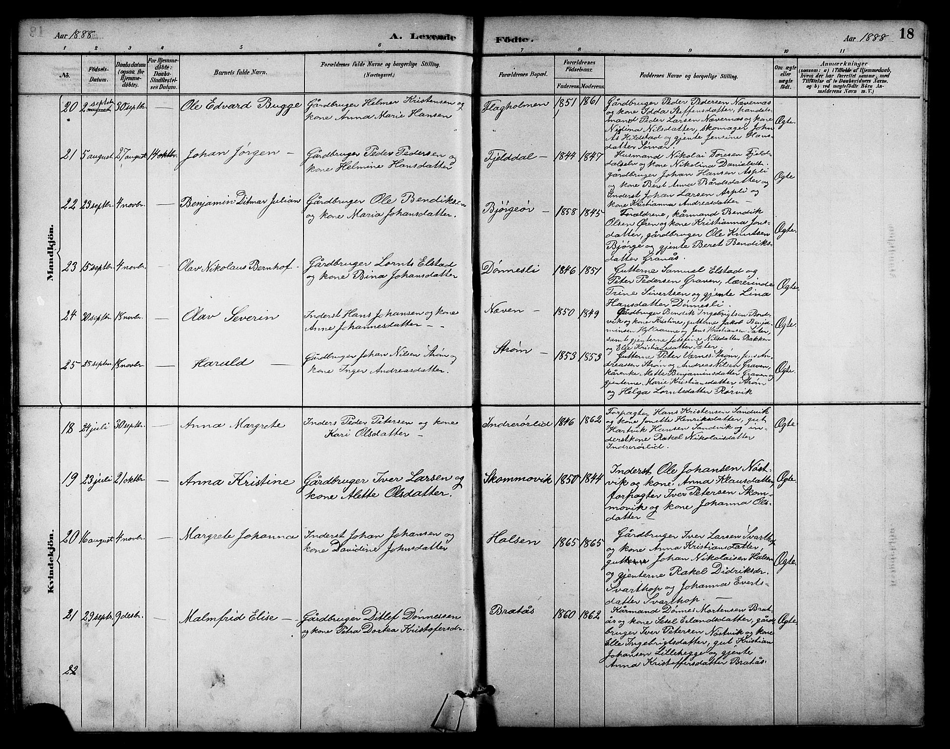 Ministerialprotokoller, klokkerbøker og fødselsregistre - Nordland, AV/SAT-A-1459/814/L0230: Parish register (copy) no. 814C03, 1884-1911, p. 18