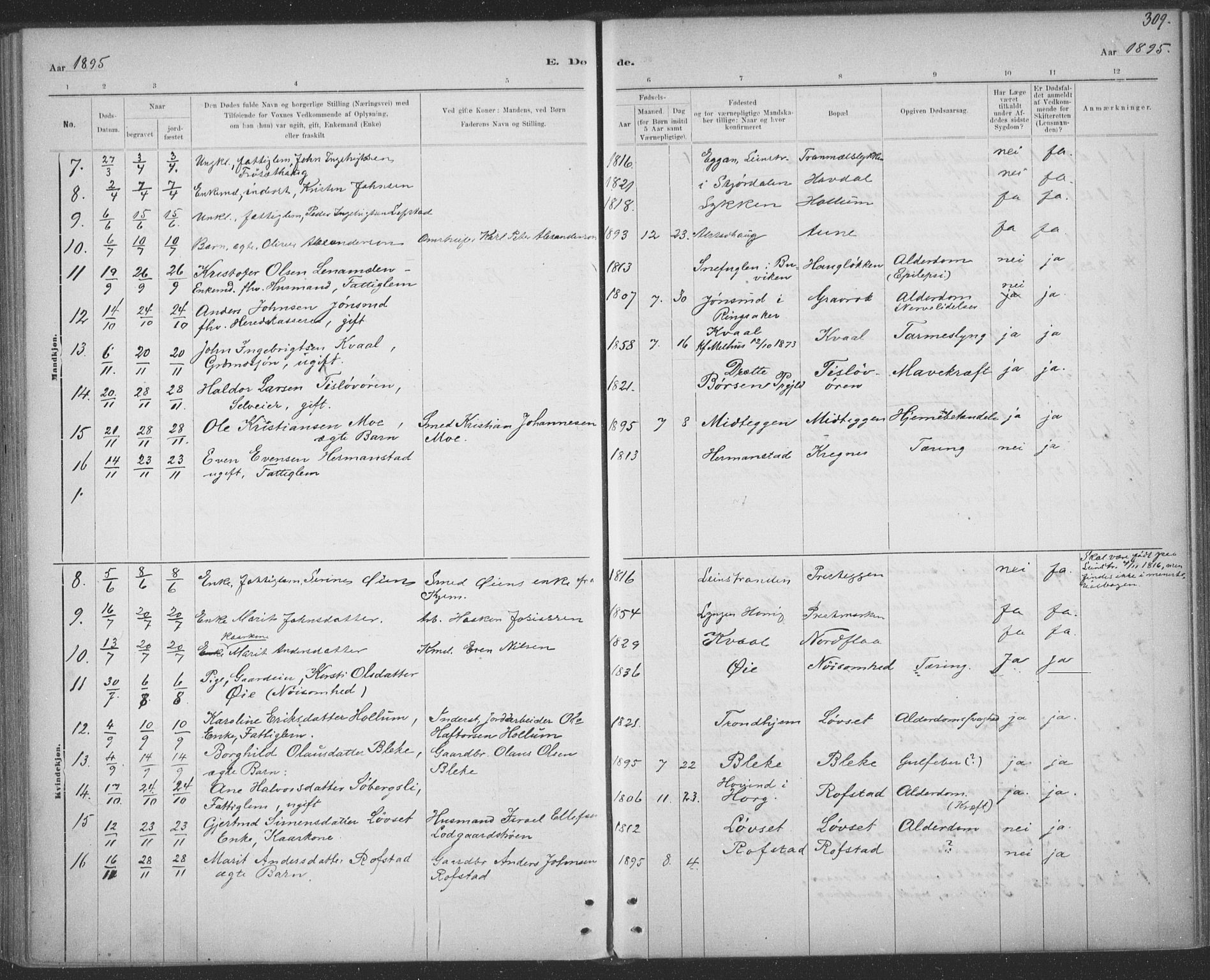 Ministerialprotokoller, klokkerbøker og fødselsregistre - Sør-Trøndelag, SAT/A-1456/691/L1085: Parish register (official) no. 691A17, 1887-1908, p. 309