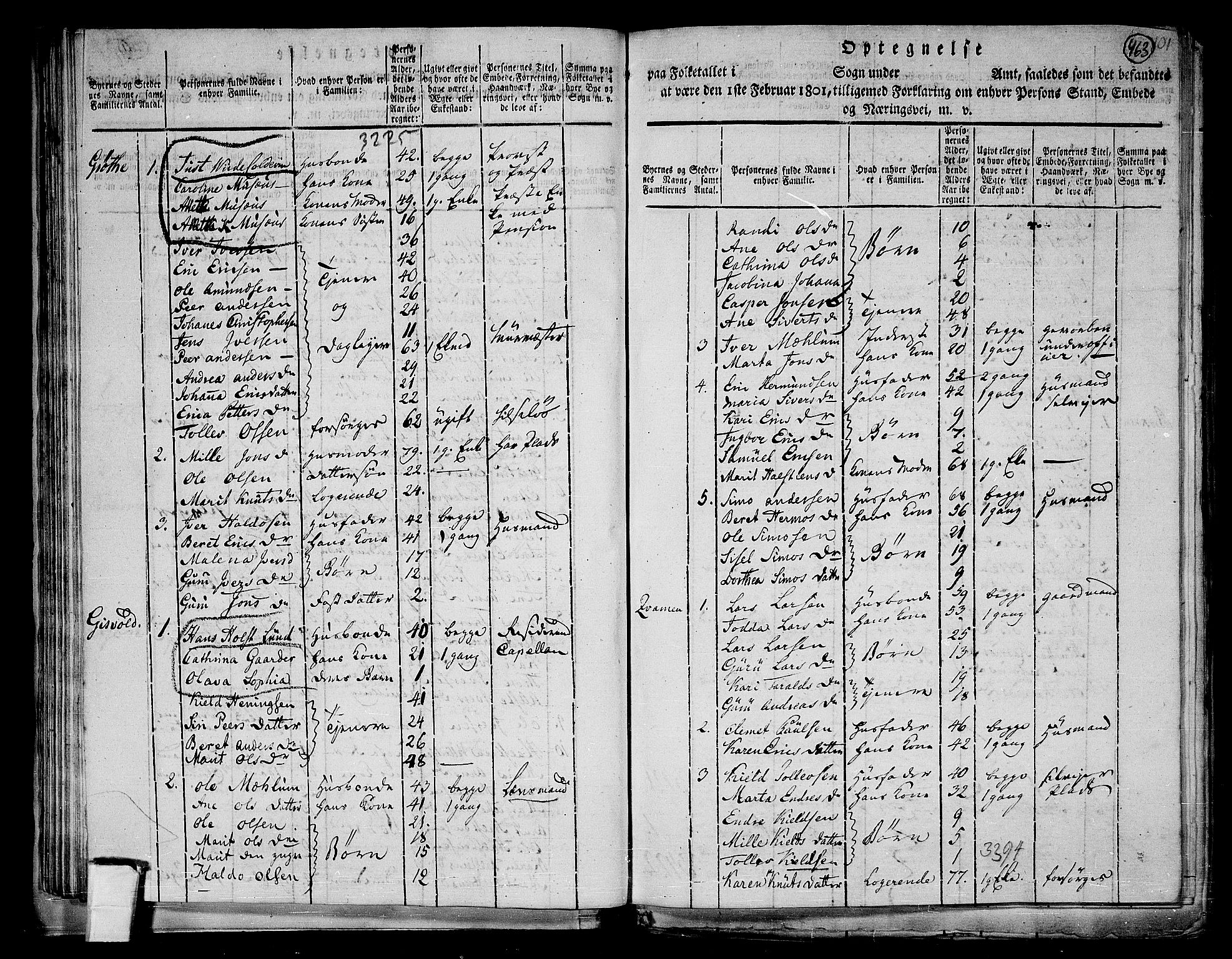 RA, 1801 census for 1638P Orkdal, 1801, p. 462b-463a