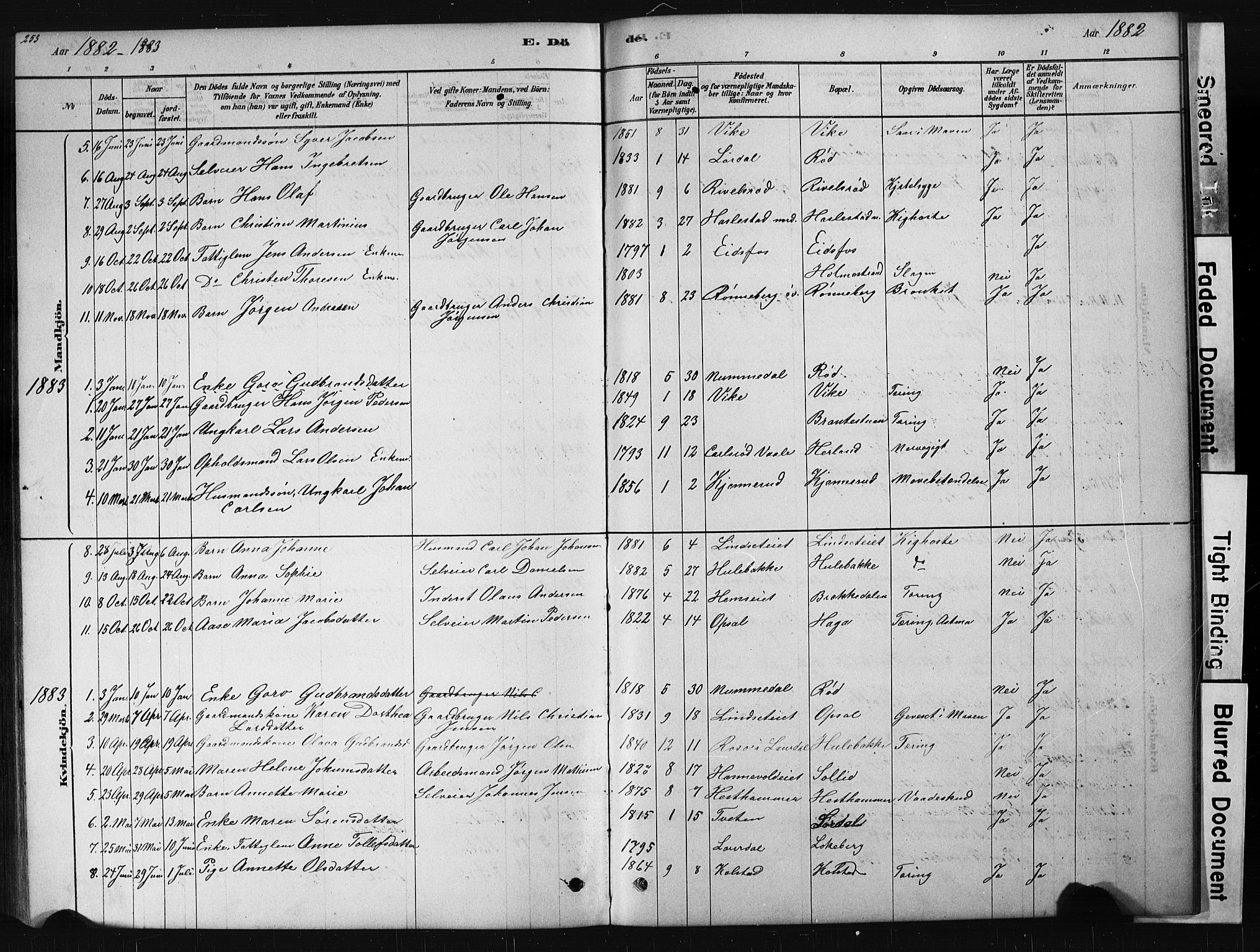 Hof kirkebøker, AV/SAKO-A-64/G/Ga/L0004: Parish register (copy) no. I 4, 1878-1930, p. 253