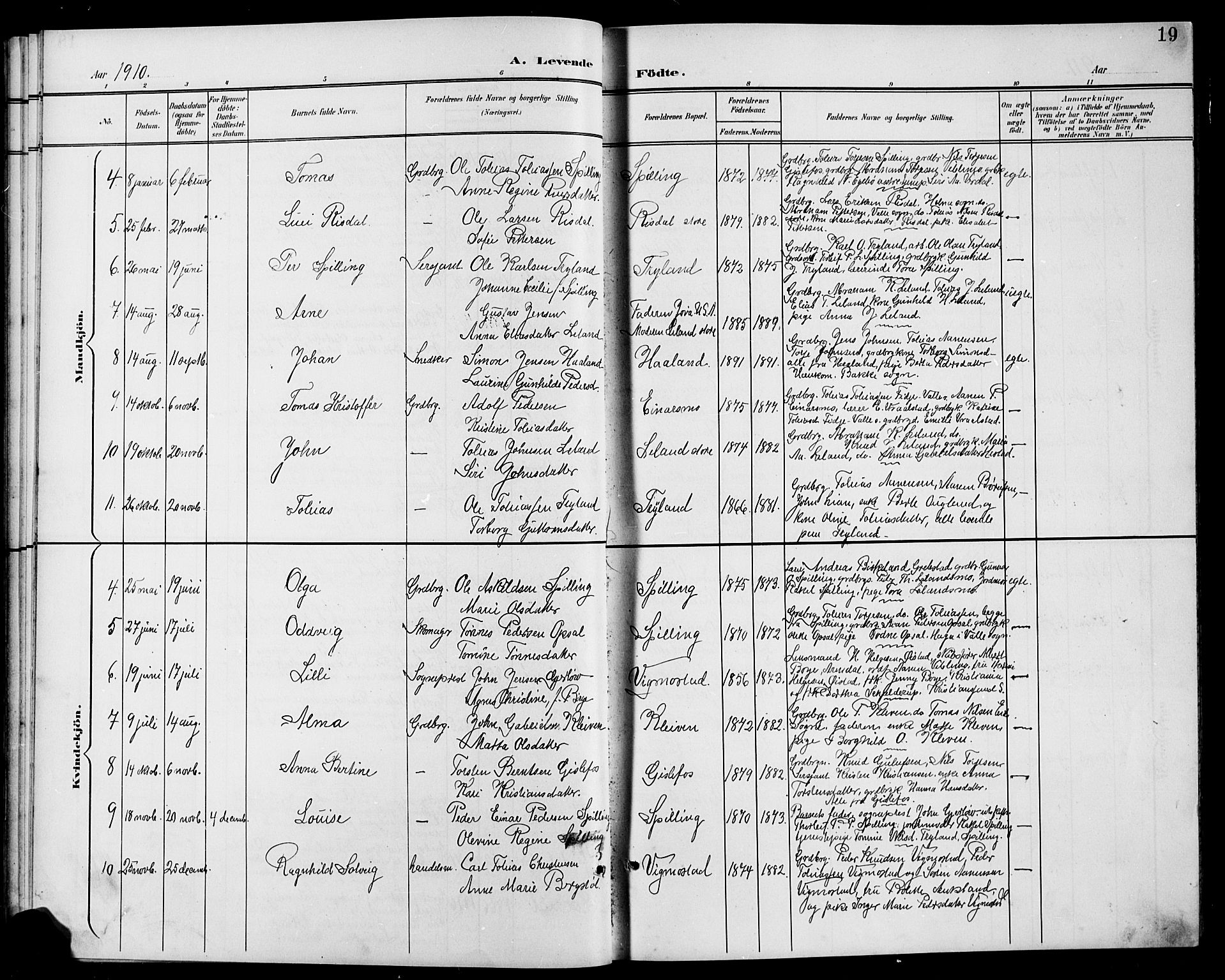 Nord-Audnedal sokneprestkontor, SAK/1111-0032/F/Fb/Fbb/L0004: Parish register (copy) no. B 4, 1901-1917, p. 19
