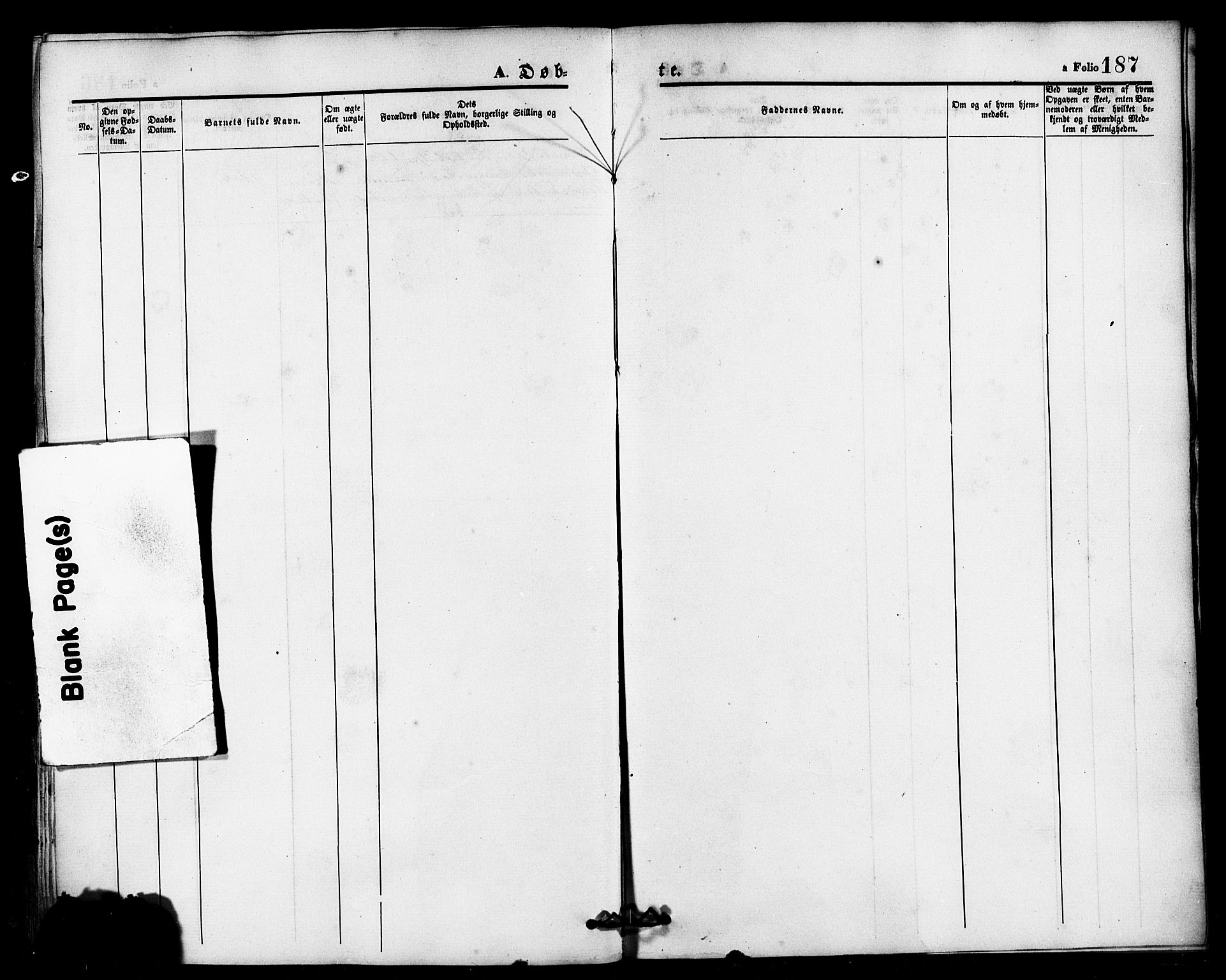 Domkirken sokneprestkontor, SAST/A-101812/001/30/30BB/L0013: Parish register (copy) no. B 13, 1871-1880, p. 187