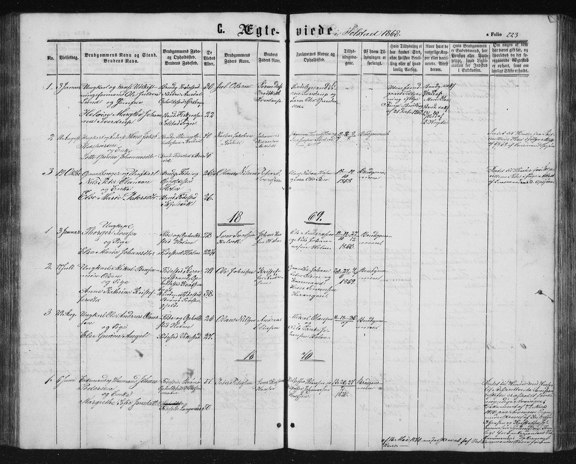 Ministerialprotokoller, klokkerbøker og fødselsregistre - Nordland, AV/SAT-A-1459/810/L0159: Parish register (copy) no. 810C02 /2, 1863-1883, p. 223