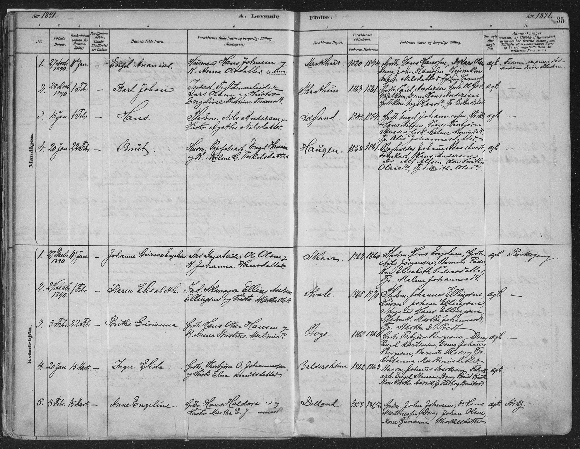 Fusa sokneprestembete, SAB/A-75401/H/Haa: Parish register (official) no. D 1, 1880-1938, p. 35