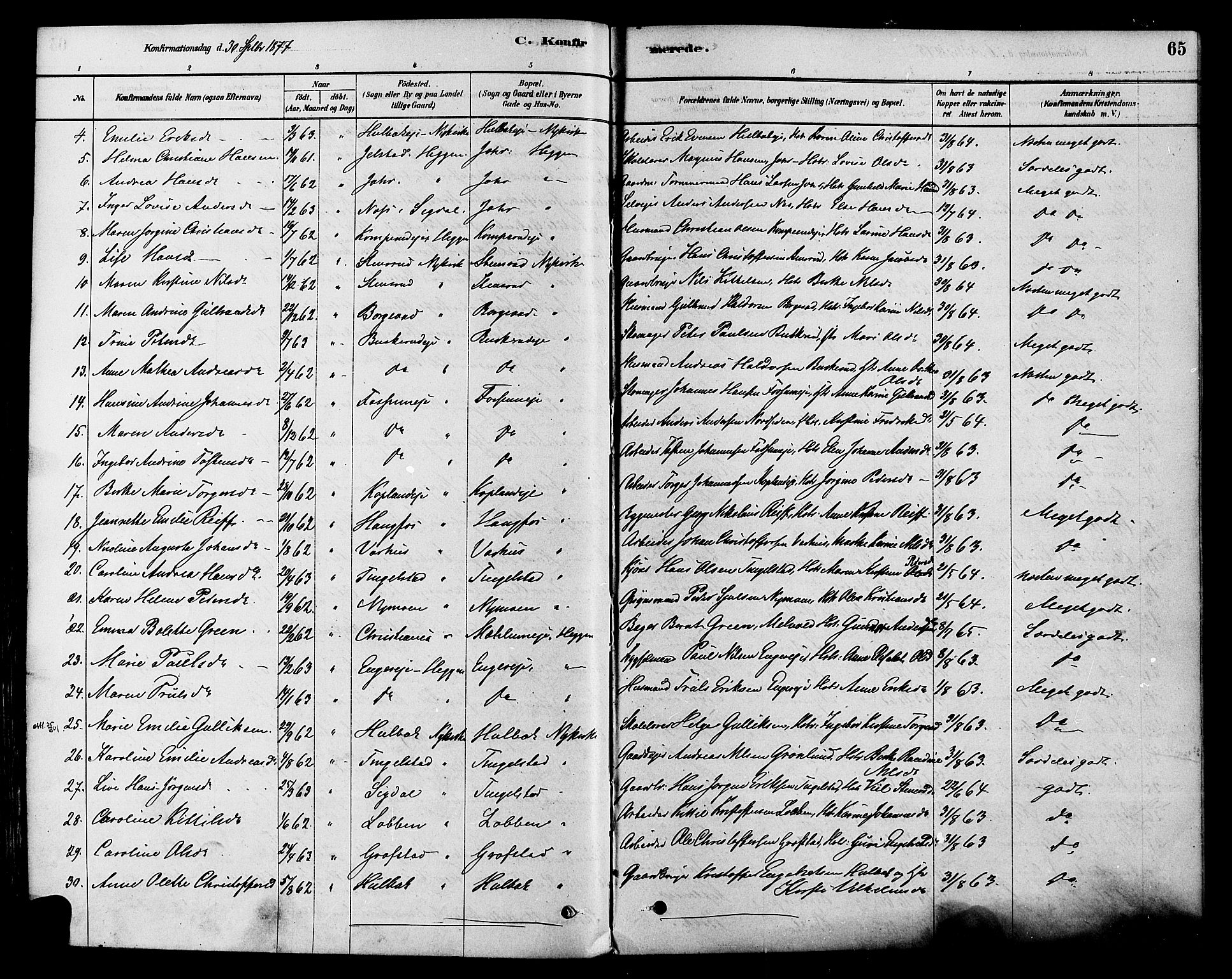 Modum kirkebøker, AV/SAKO-A-234/F/Fa/L0015: Parish register (official) no. 15 /1, 1877-1889, p. 65