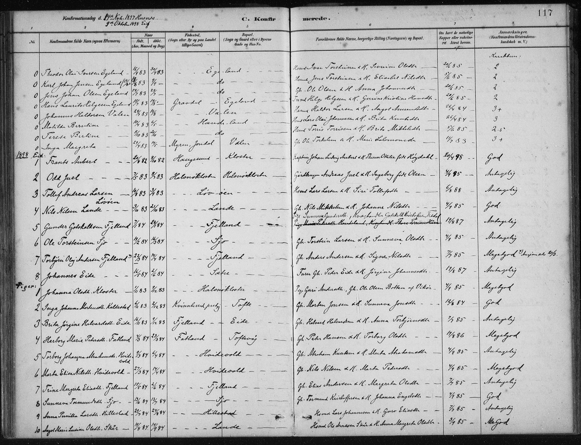 Fjelberg sokneprestembete, SAB/A-75201/H/Haa: Parish register (official) no. C  1, 1879-1918, p. 117