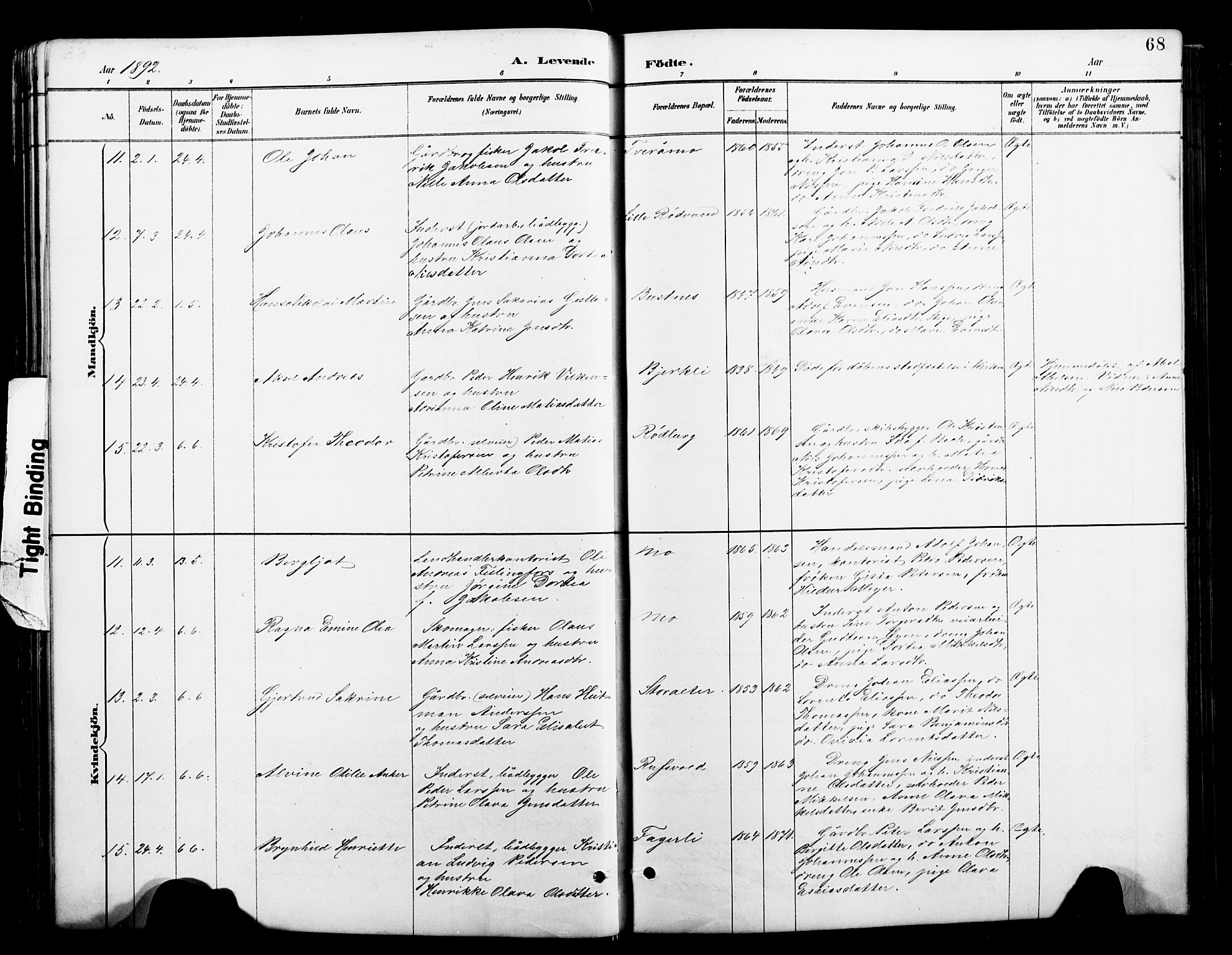 Ministerialprotokoller, klokkerbøker og fødselsregistre - Nordland, AV/SAT-A-1459/827/L0421: Parish register (copy) no. 827C10, 1887-1906, p. 68