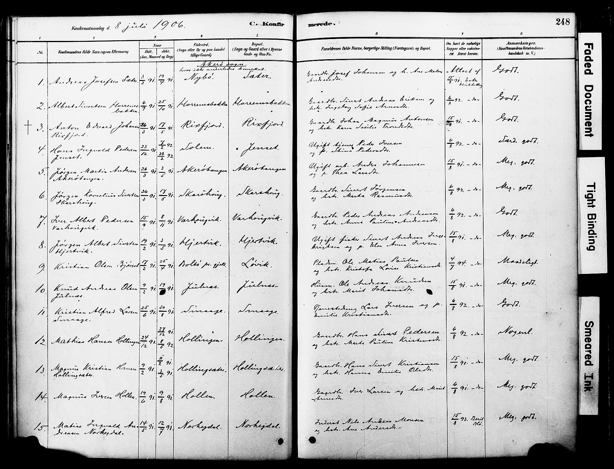 Ministerialprotokoller, klokkerbøker og fødselsregistre - Møre og Romsdal, AV/SAT-A-1454/560/L0721: Parish register (official) no. 560A05, 1878-1917, p. 248
