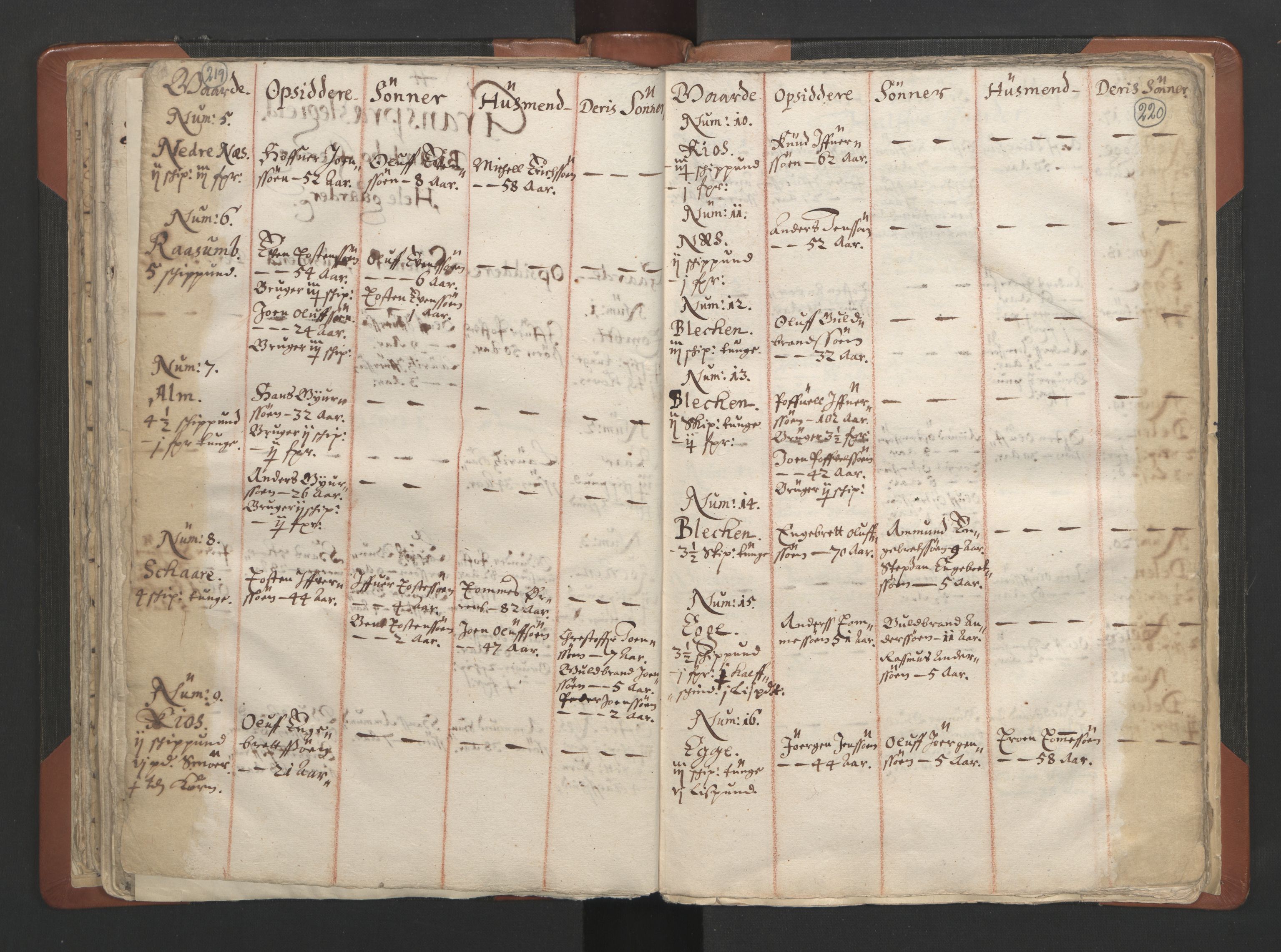 RA, Vicar's Census 1664-1666, no. 7: Hadeland deanery, 1664-1666, p. 219-220