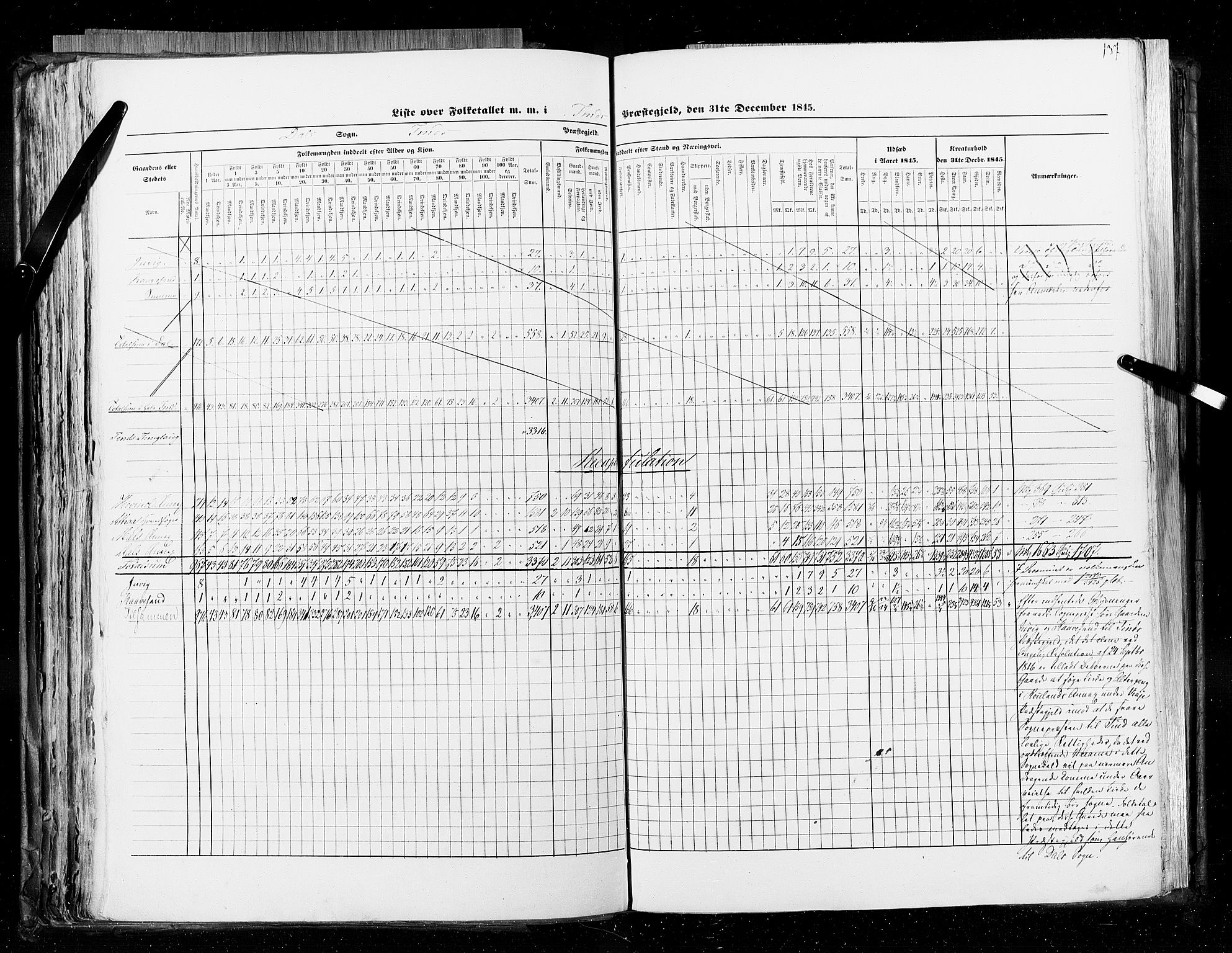 RA, Census 1845, vol. 5: Bratsberg amt og Nedenes og Råbyggelaget amt, 1845, p. 137