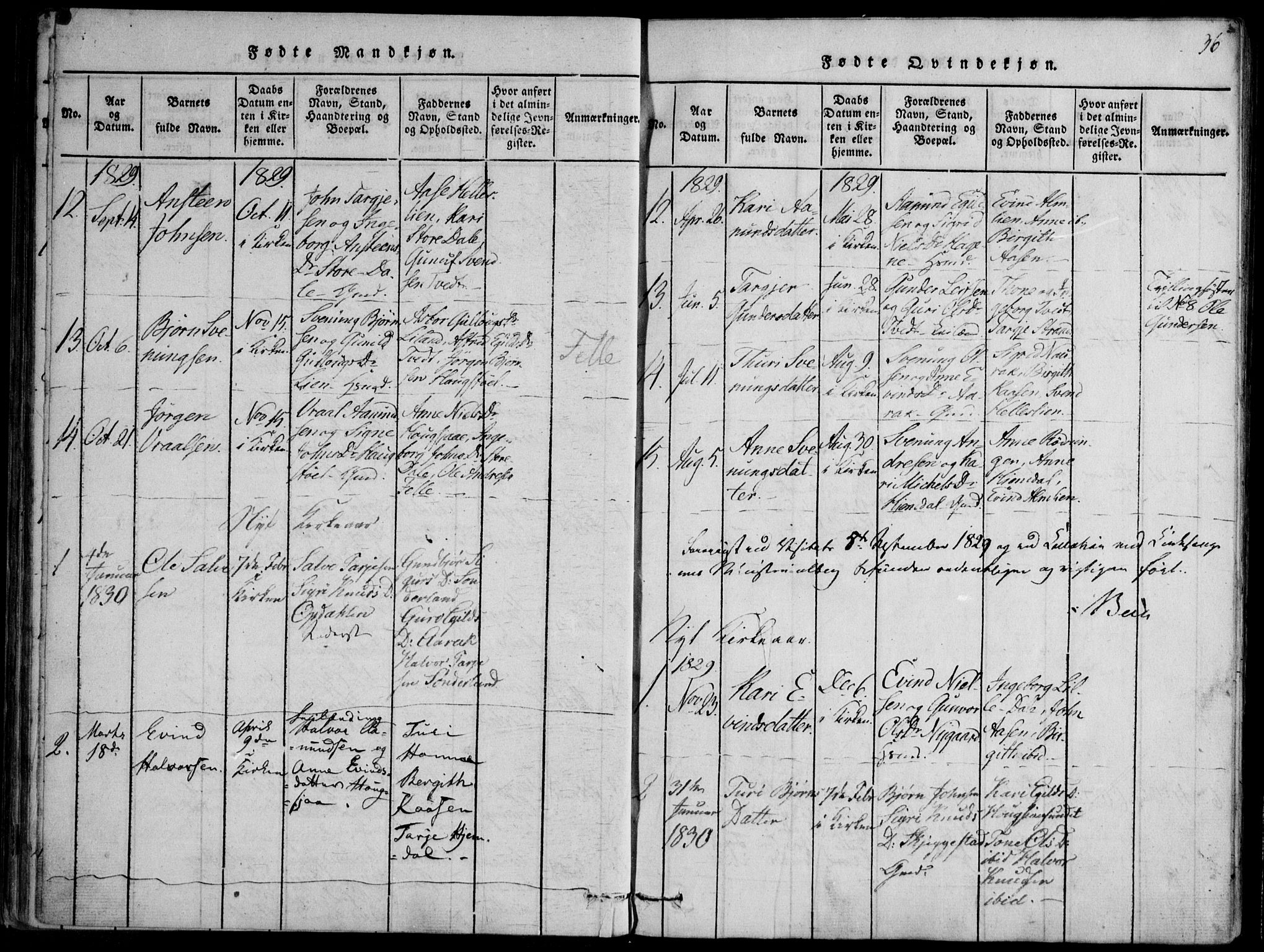 Nissedal kirkebøker, SAKO/A-288/F/Fb/L0001: Parish register (official) no. II 1, 1814-1845, p. 36