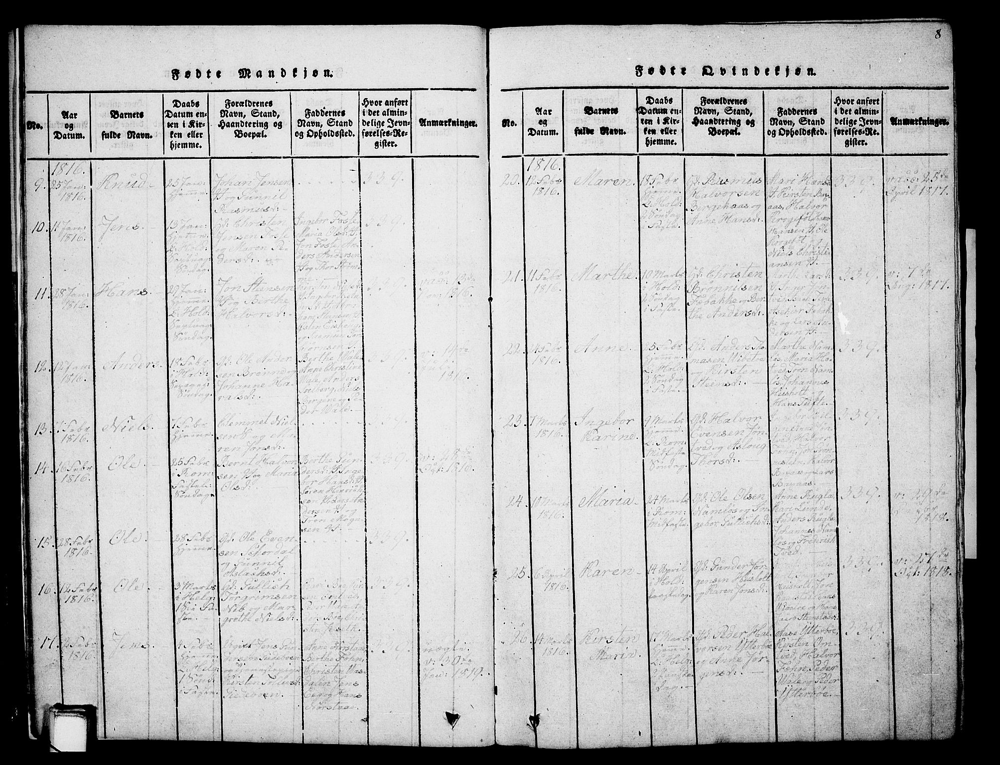 Holla kirkebøker, AV/SAKO-A-272/G/Ga/L0001: Parish register (copy) no. I 1, 1814-1830, p. 8