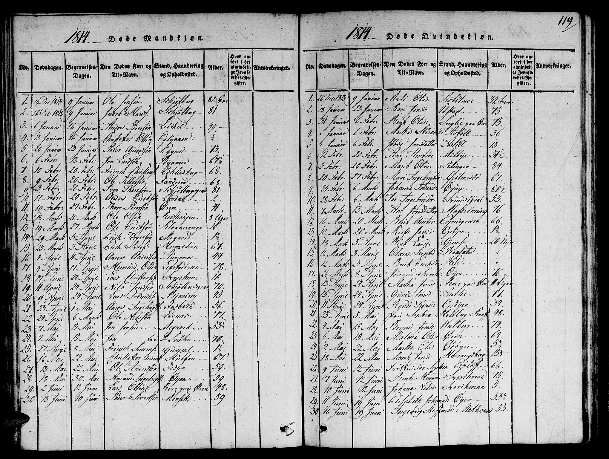 Ministerialprotokoller, klokkerbøker og fødselsregistre - Sør-Trøndelag, SAT/A-1456/668/L0803: Parish register (official) no. 668A03, 1800-1826, p. 119