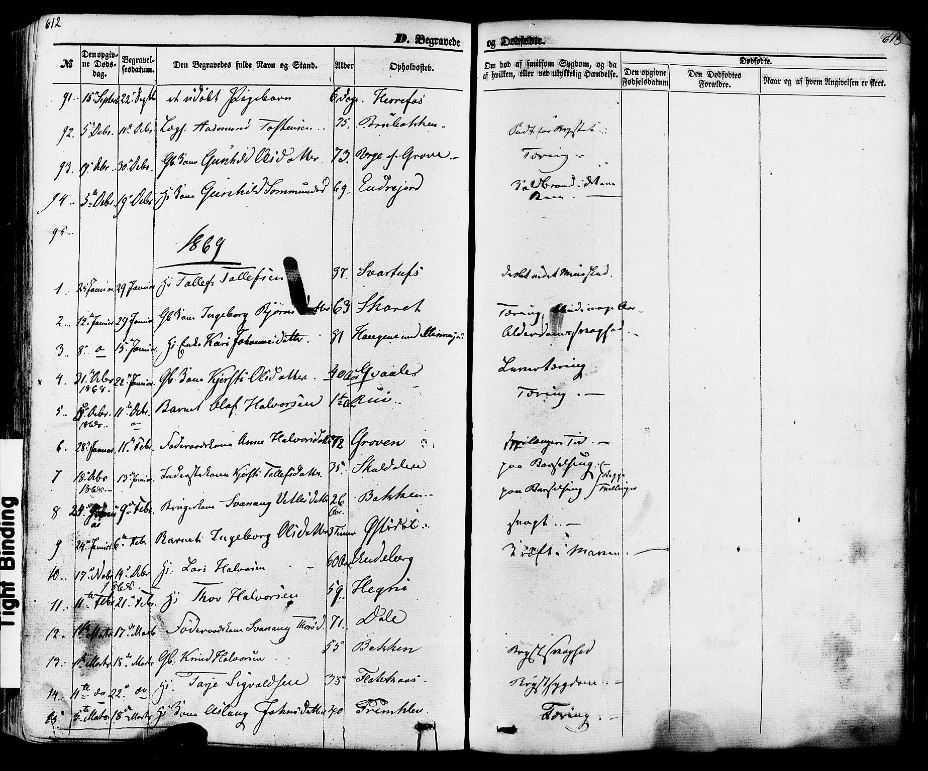 Seljord kirkebøker, SAKO/A-20/F/Fa/L0013: Parish register (official) no. I 13, 1866-1876, p. 612-613