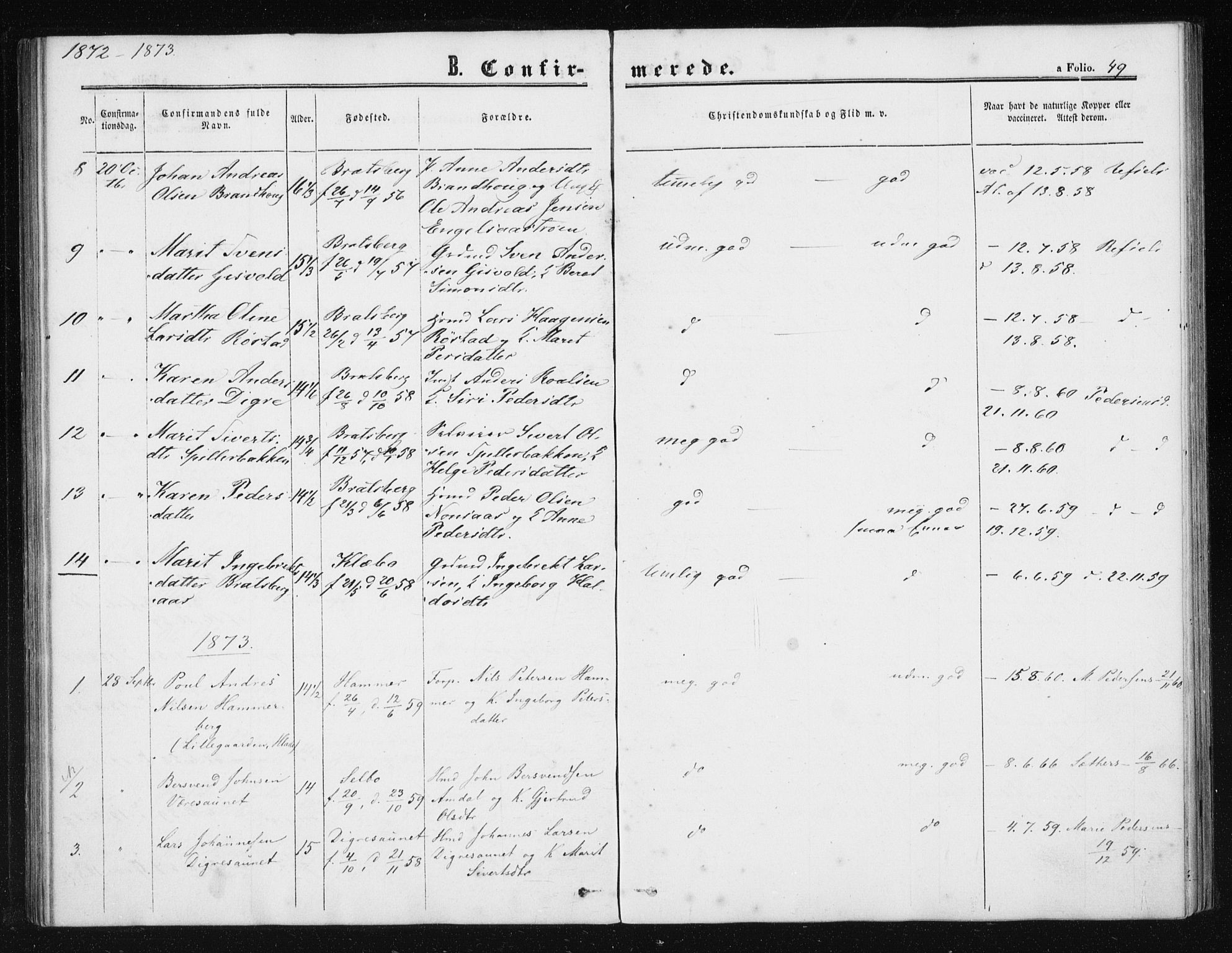 Ministerialprotokoller, klokkerbøker og fødselsregistre - Sør-Trøndelag, SAT/A-1456/608/L0333: Parish register (official) no. 608A02, 1862-1876, p. 49