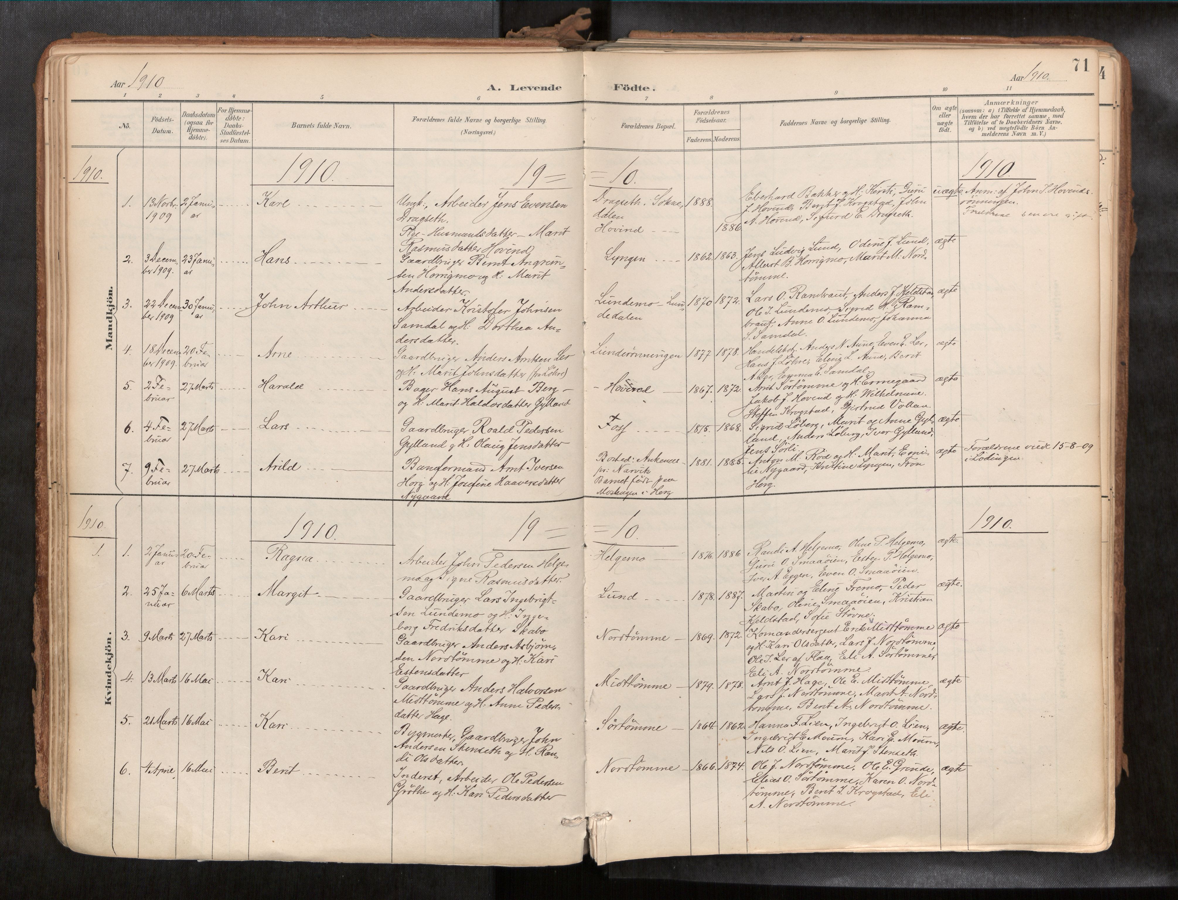 Ministerialprotokoller, klokkerbøker og fødselsregistre - Sør-Trøndelag, AV/SAT-A-1456/692/L1105b: Parish register (official) no. 692A06, 1891-1934, p. 71