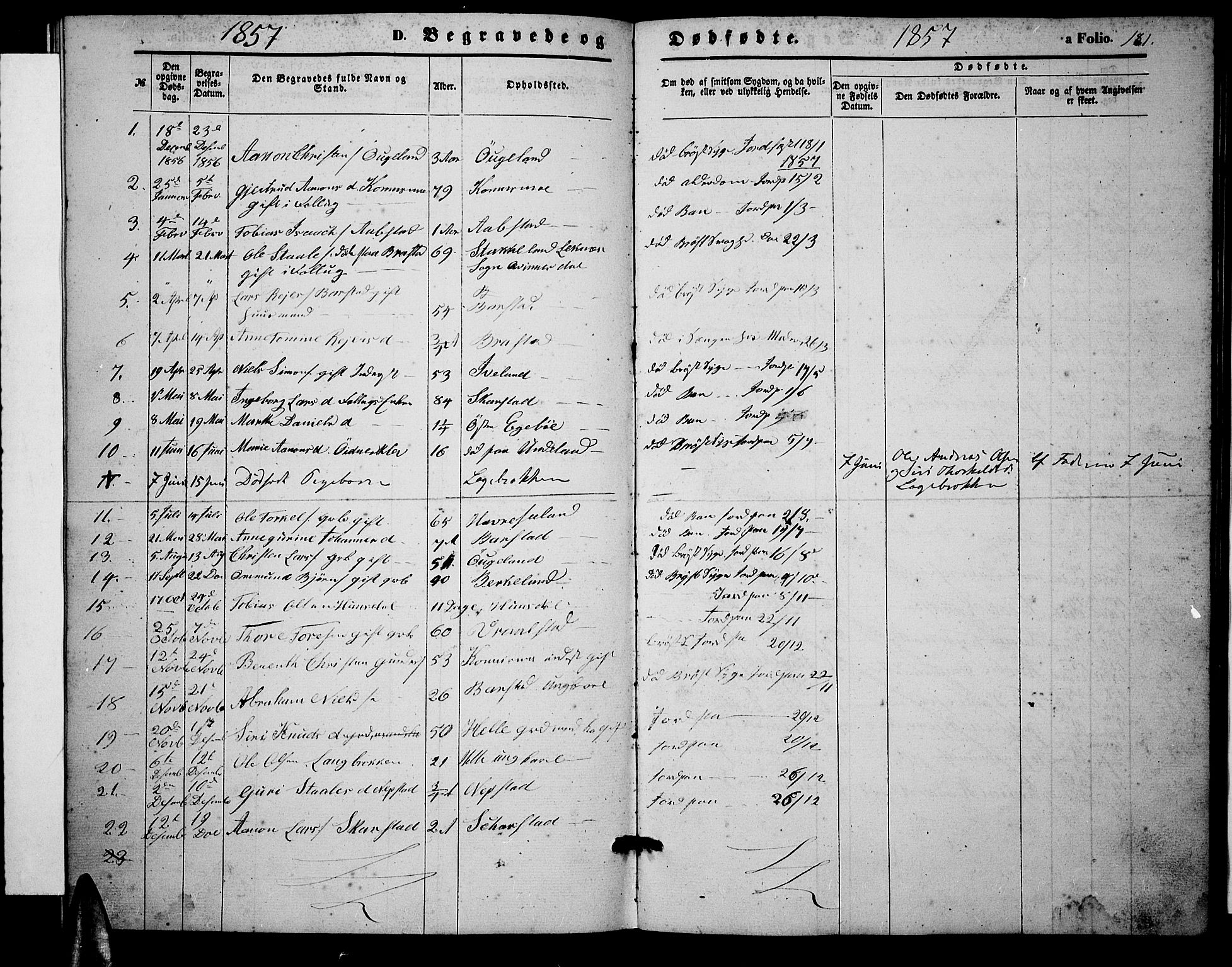 Nord-Audnedal sokneprestkontor, SAK/1111-0032/F/Fb/Fba/L0002: Parish register (copy) no. B 2, 1856-1882, p. 181