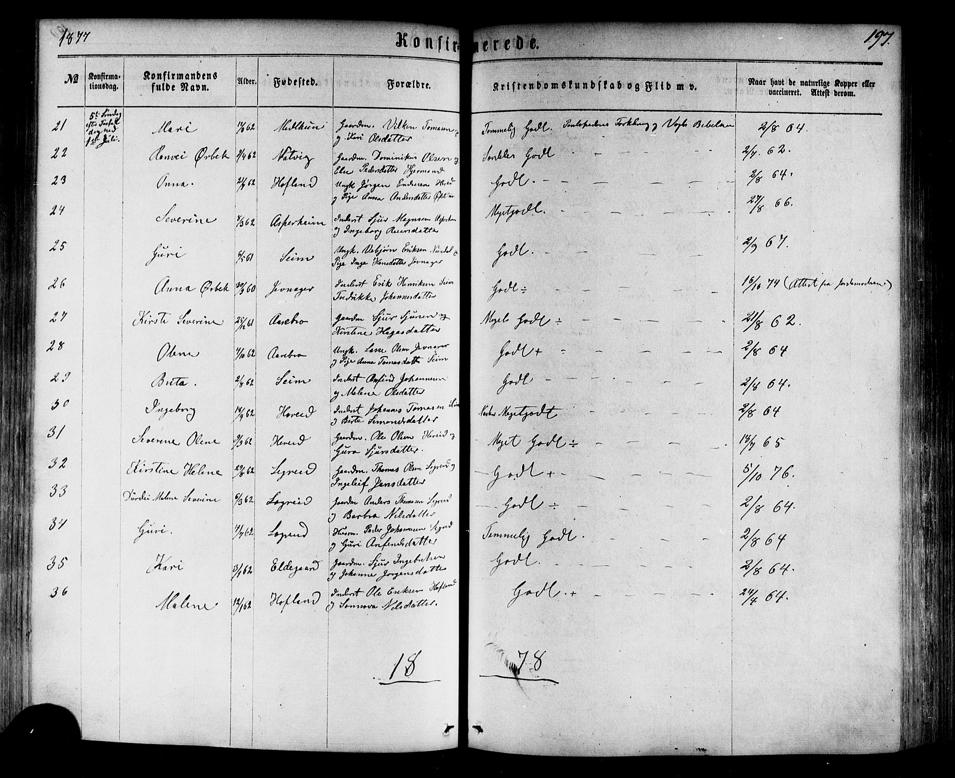 Årdal sokneprestembete, SAB/A-81701: Parish register (official) no. A 3, 1863-1886, p. 197