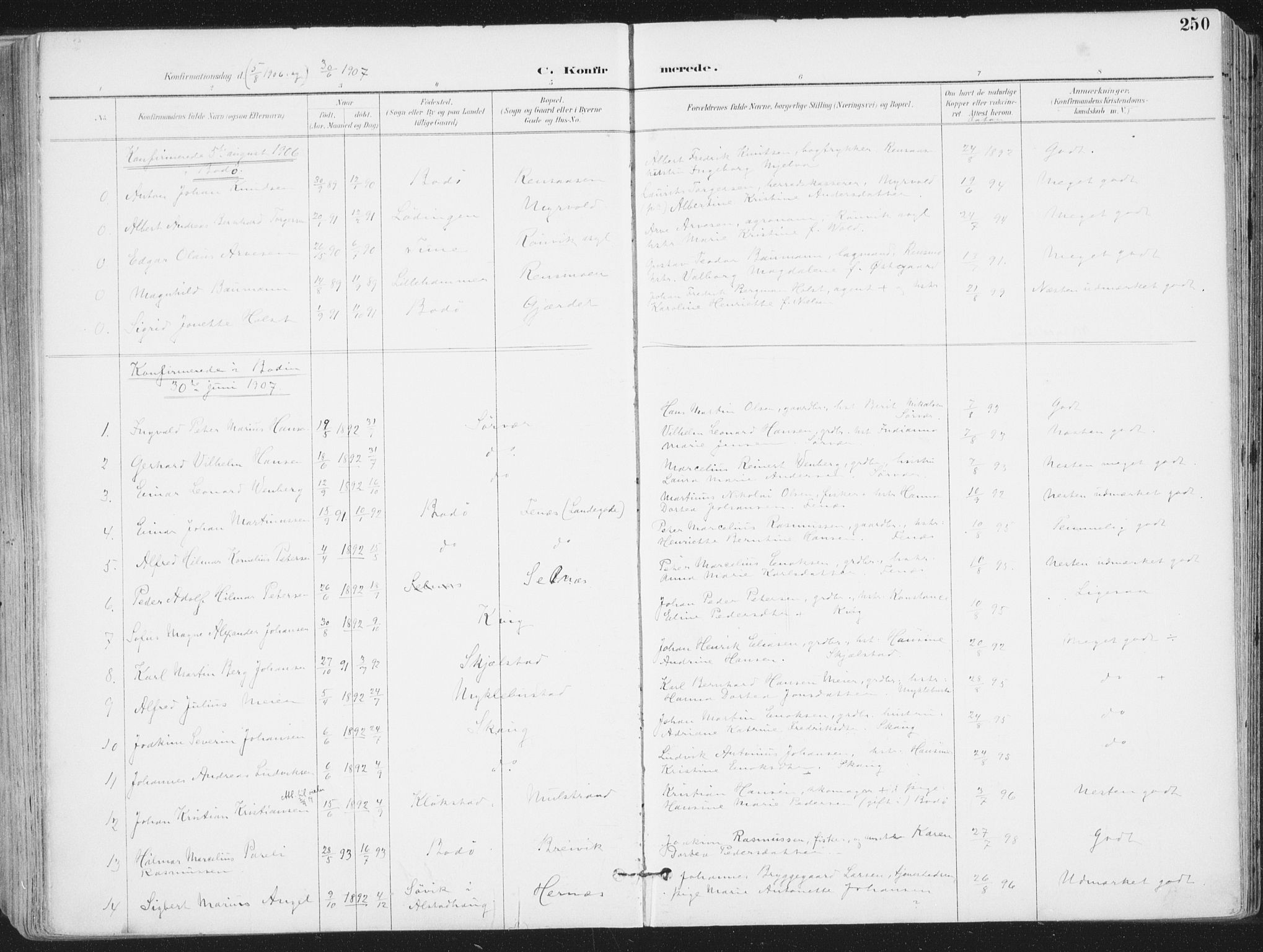 Ministerialprotokoller, klokkerbøker og fødselsregistre - Nordland, AV/SAT-A-1459/802/L0055: Parish register (official) no. 802A02, 1894-1915, p. 250