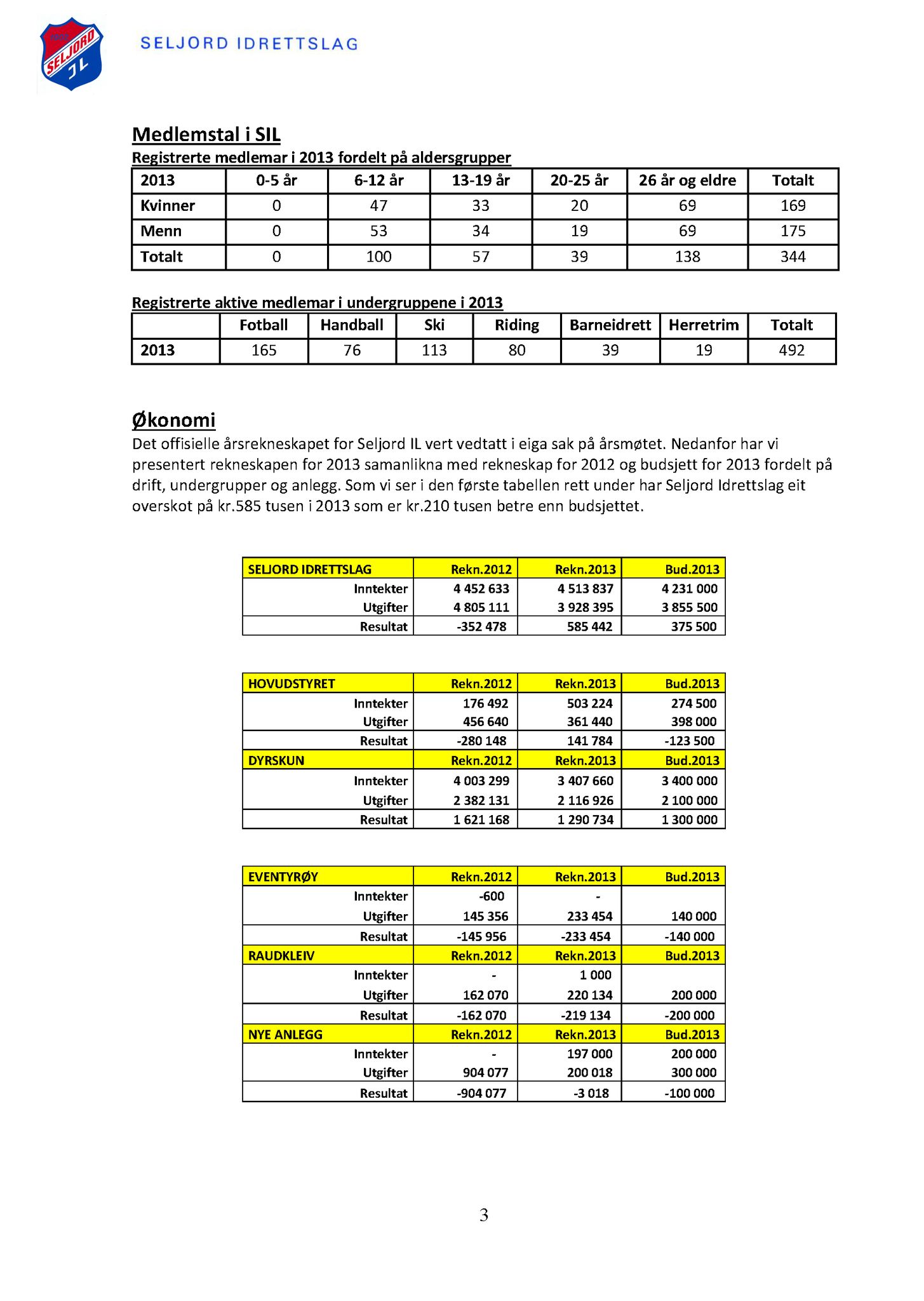 Seljord Idrettslag, VTM/A-1034/A/Ab/L0003: Årsmeldingar, 2013