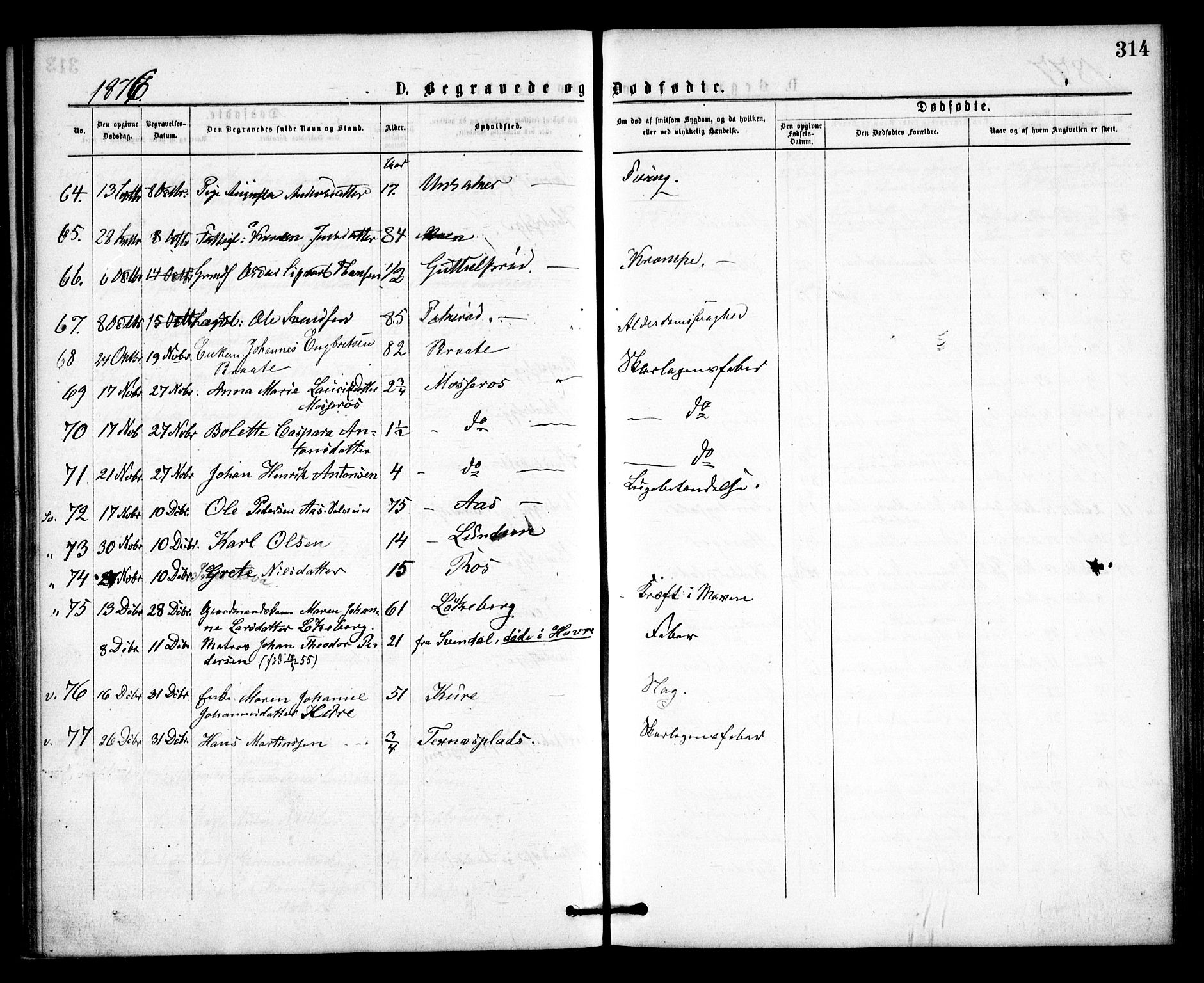 Våler prestekontor Kirkebøker, SAO/A-11083/F/Fa/L0009: Parish register (official) no. I 9, 1873-1877, p. 314