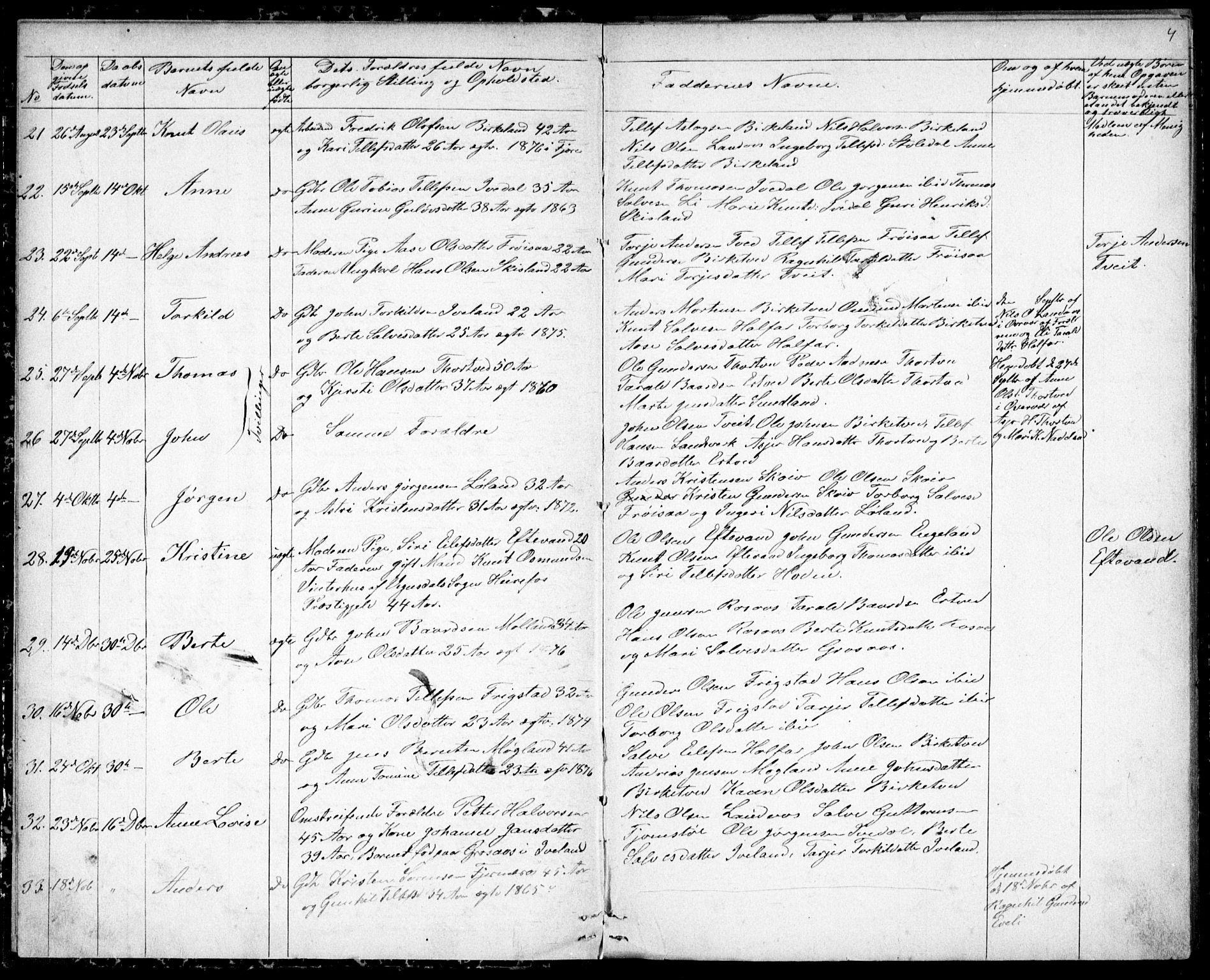 Evje sokneprestkontor, SAK/1111-0008/F/Fb/Fbc/L0003: Parish register (copy) no. B 3, 1876-1889, p. 4