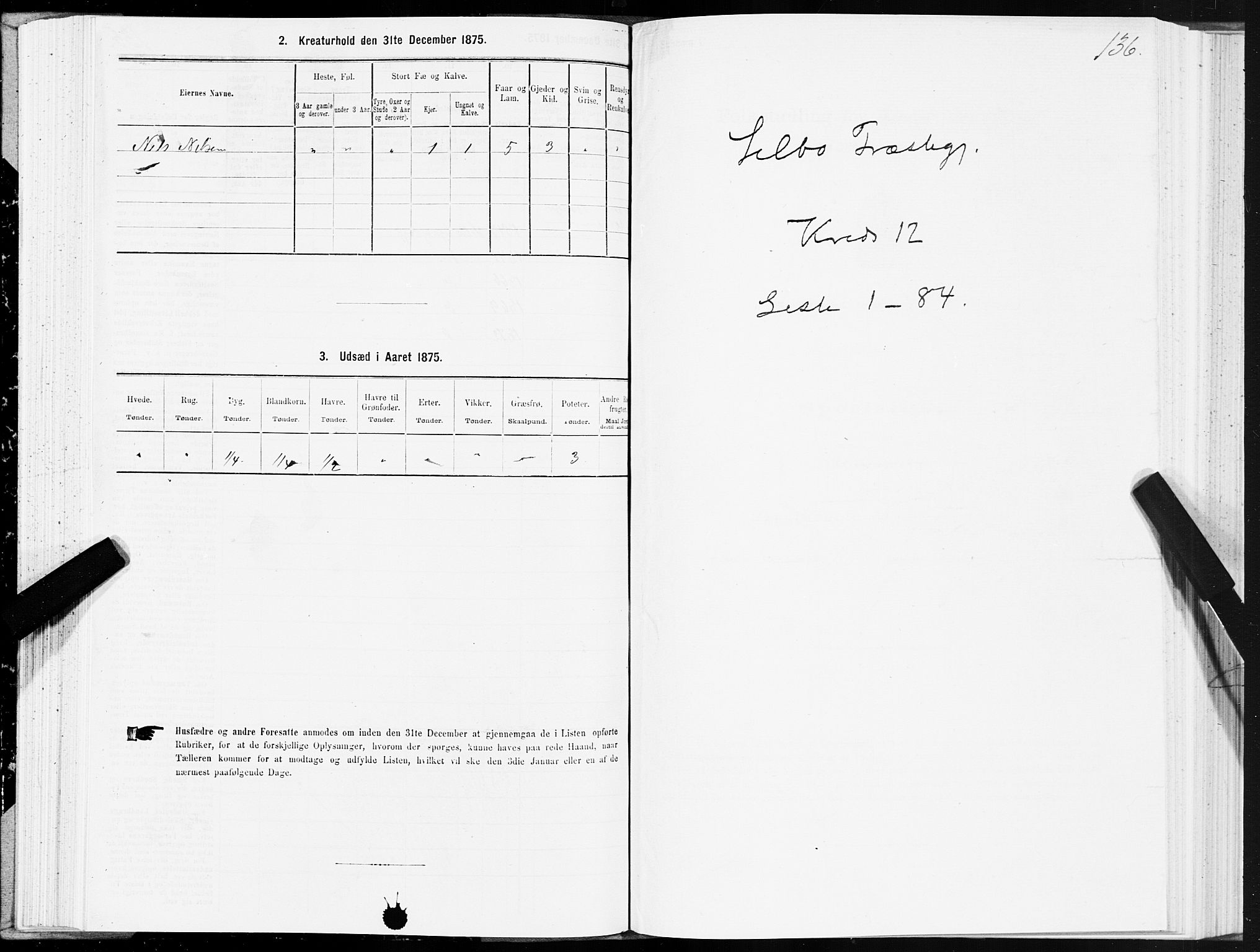 SAT, 1875 census for 1664P Selbu, 1875, p. 6136