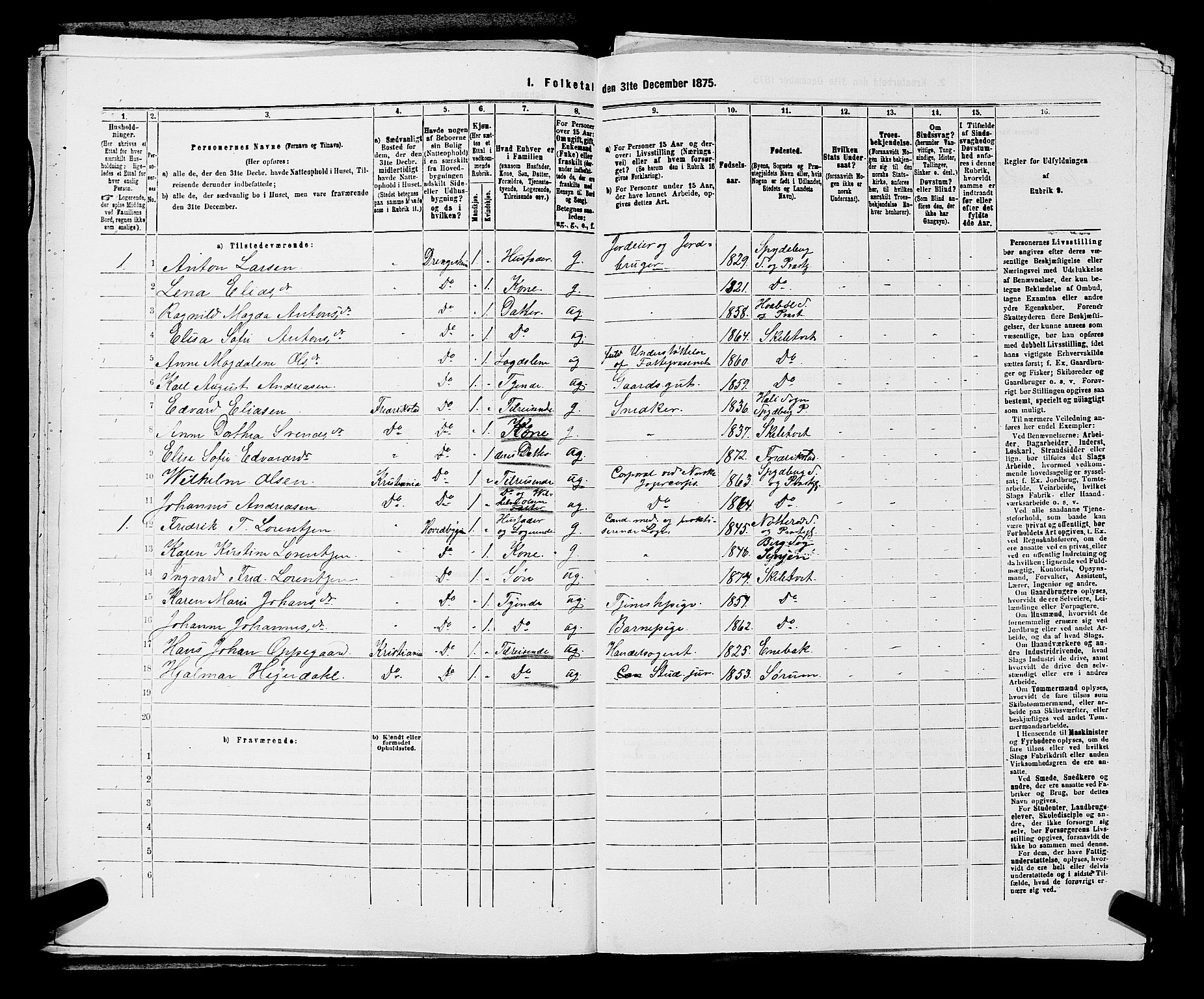 RA, 1875 census for 0127P Skiptvet, 1875, p. 501