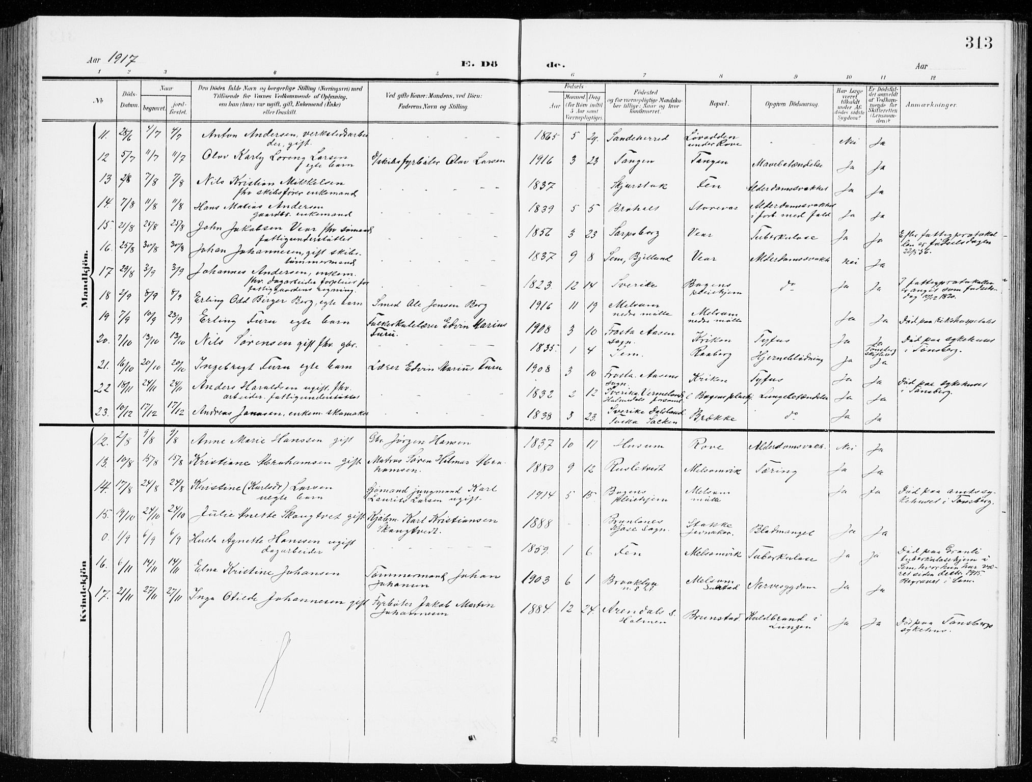 Stokke kirkebøker, AV/SAKO-A-320/G/Ga/L0001: Parish register (copy) no. I 1, 1904-1940, p. 313