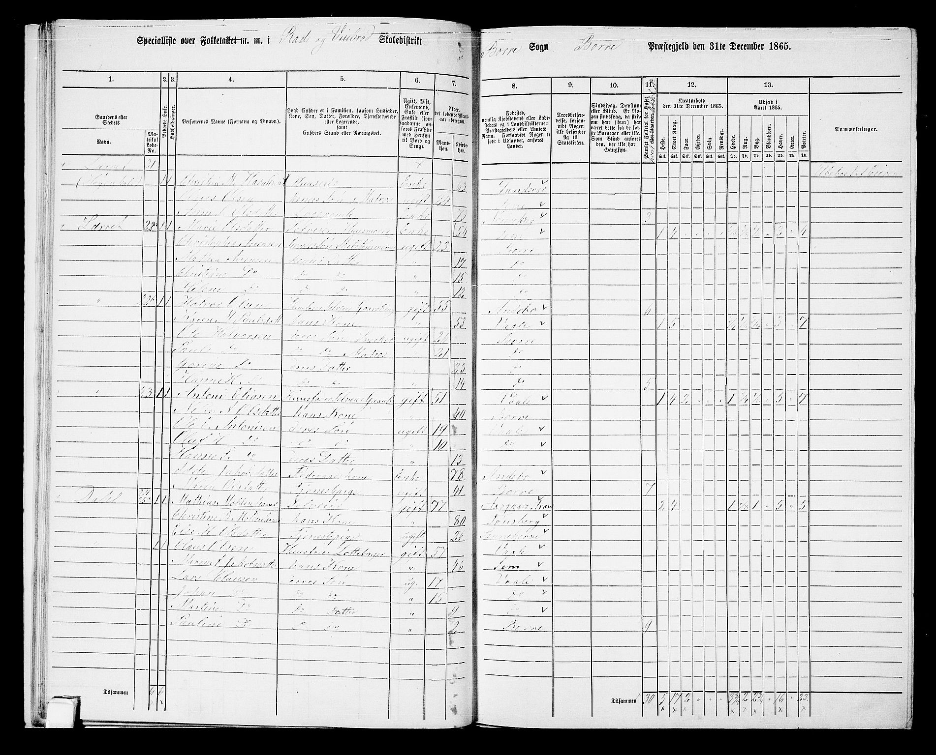 RA, 1865 census for Borre, 1865, p. 45