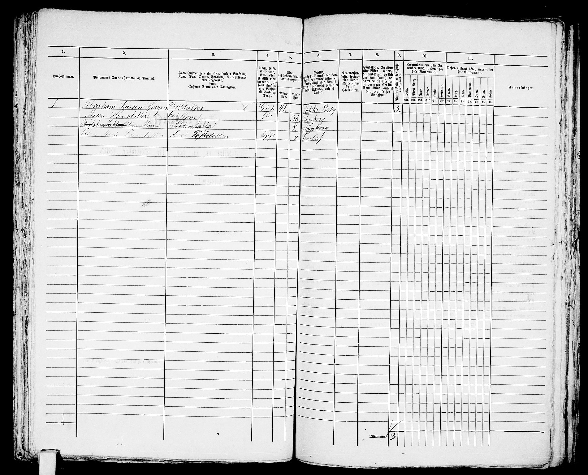 RA, 1865 census for Tønsberg, 1865, p. 599