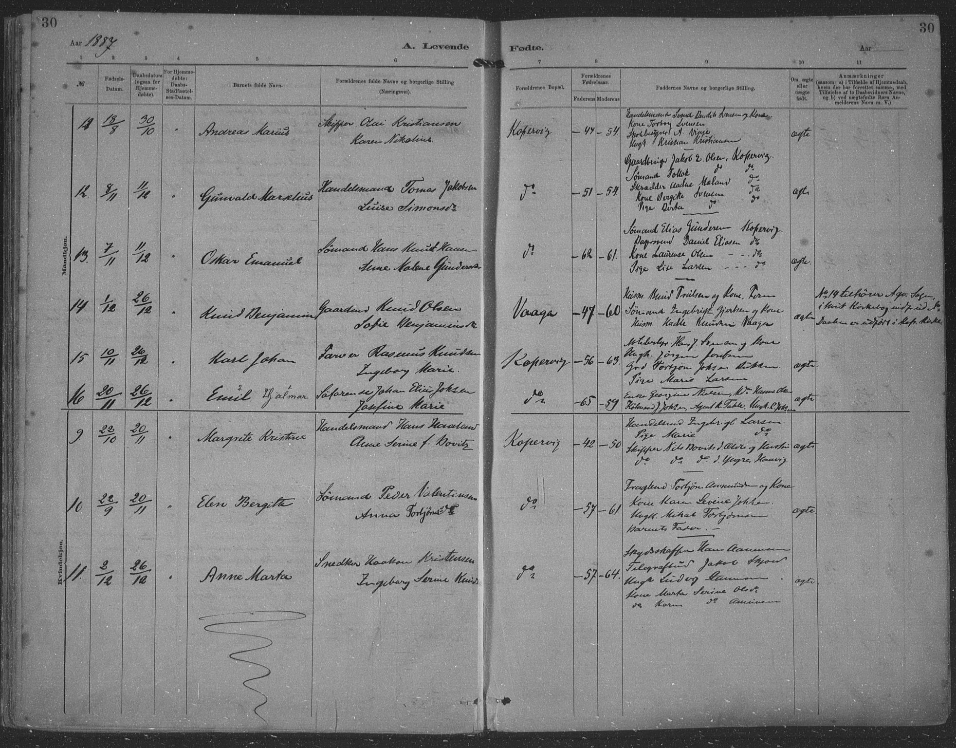 Kopervik sokneprestkontor, AV/SAST-A-101850/H/Ha/Haa/L0001: Parish register (official) no. A 1, 1880-1919, p. 30