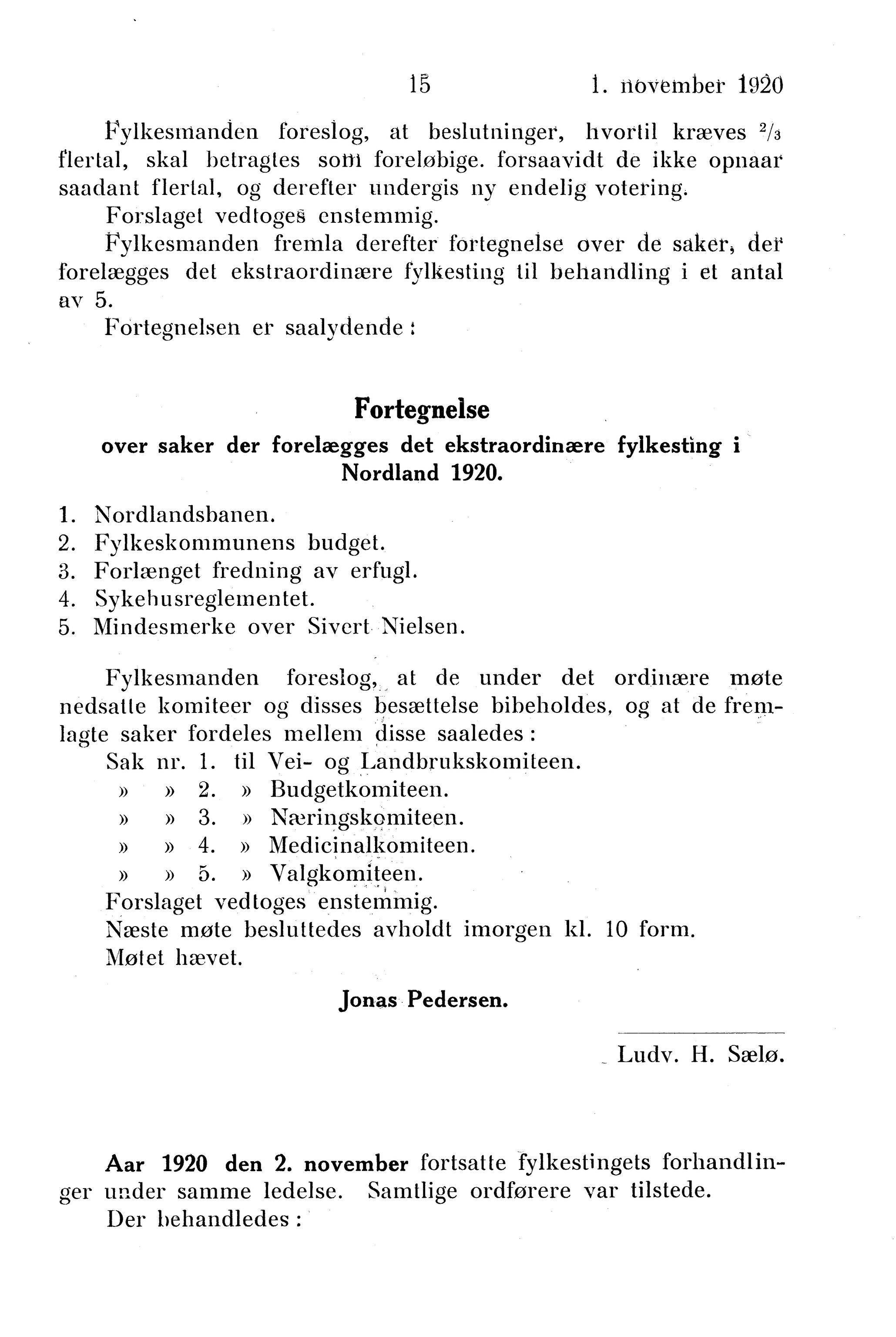 Nordland Fylkeskommune. Fylkestinget, AIN/NFK-17/176/A/Ac/L0043: Fylkestingsforhandlinger 1920, 1920, p. 15