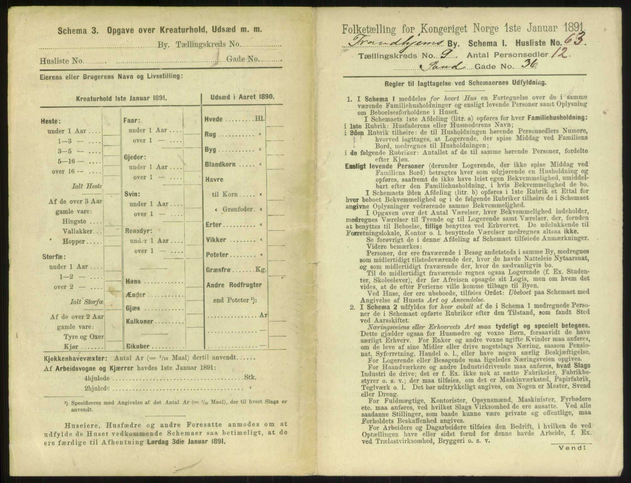 RA, 1891 census for 1601 Trondheim, 1891, p. 1150