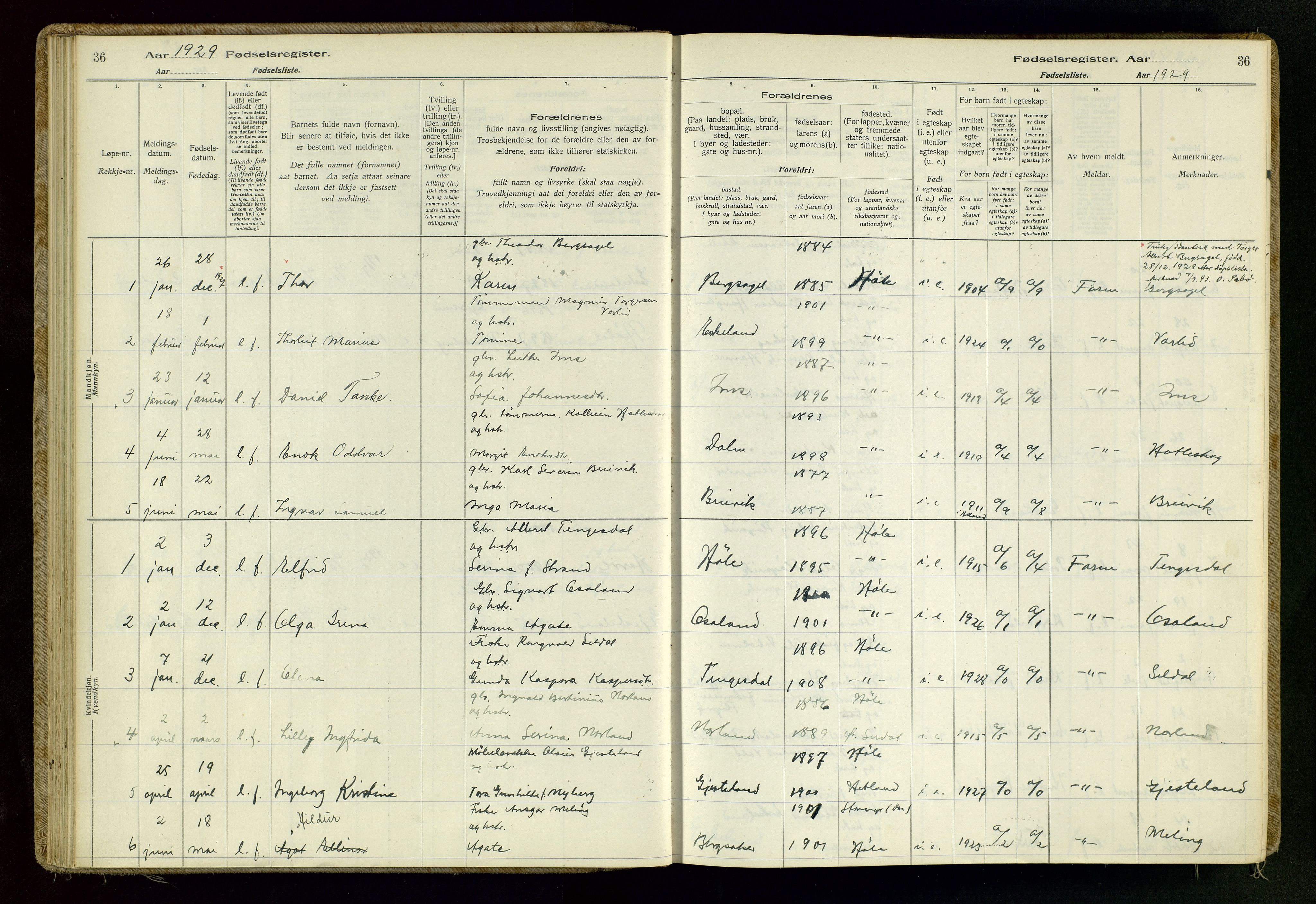 Høgsfjord sokneprestkontor, SAST/A-101624/I/Id/L0001: Birth register no. 1, 1916-1982, p. 36