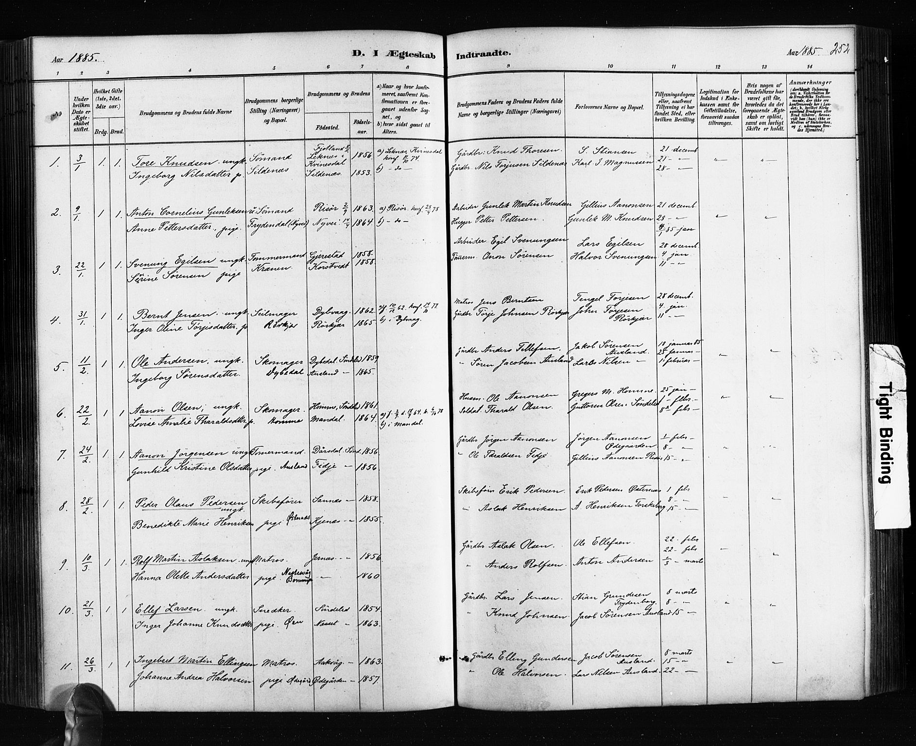 Søndeled sokneprestkontor, AV/SAK-1111-0038/F/Fa/L0004: Parish register (official) no. A 4, 1880-1889, p. 252