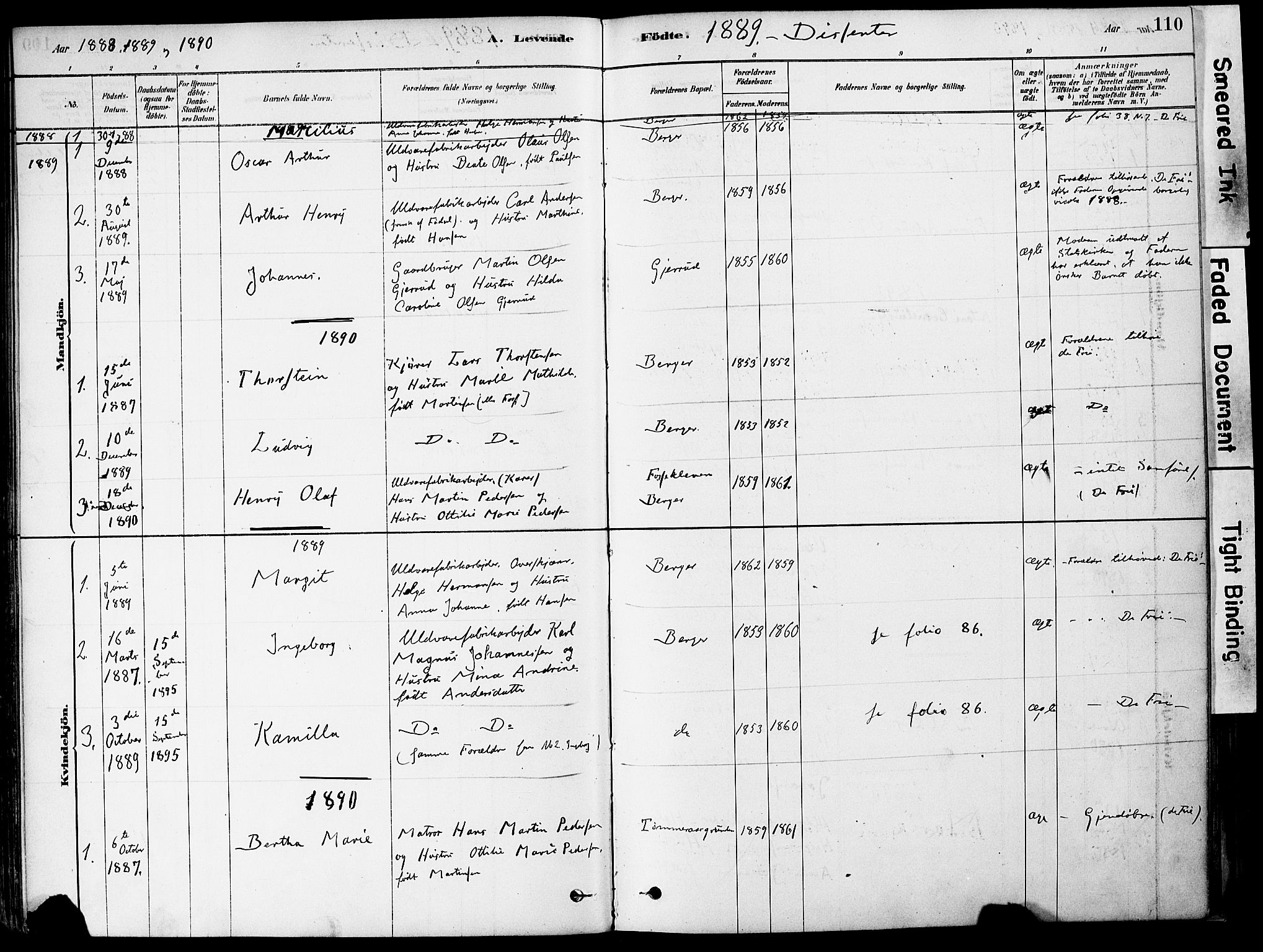 Strømm kirkebøker, AV/SAKO-A-322/F/Fa/L0004: Parish register (official) no. I 4, 1878-1899, p. 110