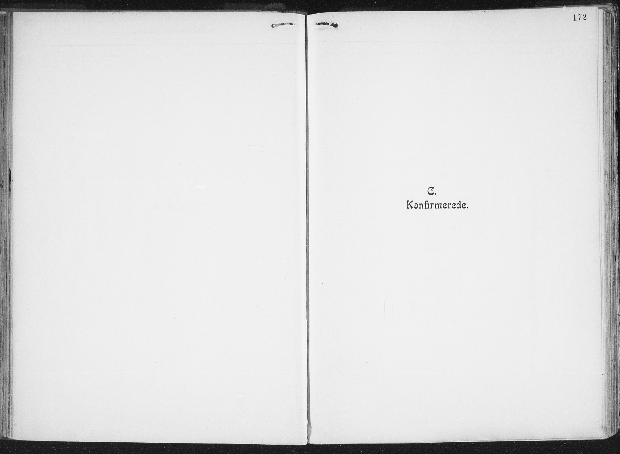 Ministerialprotokoller, klokkerbøker og fødselsregistre - Nordland, SAT/A-1459/849/L0696: Parish register (official) no. 849A08, 1898-1910, p. 172