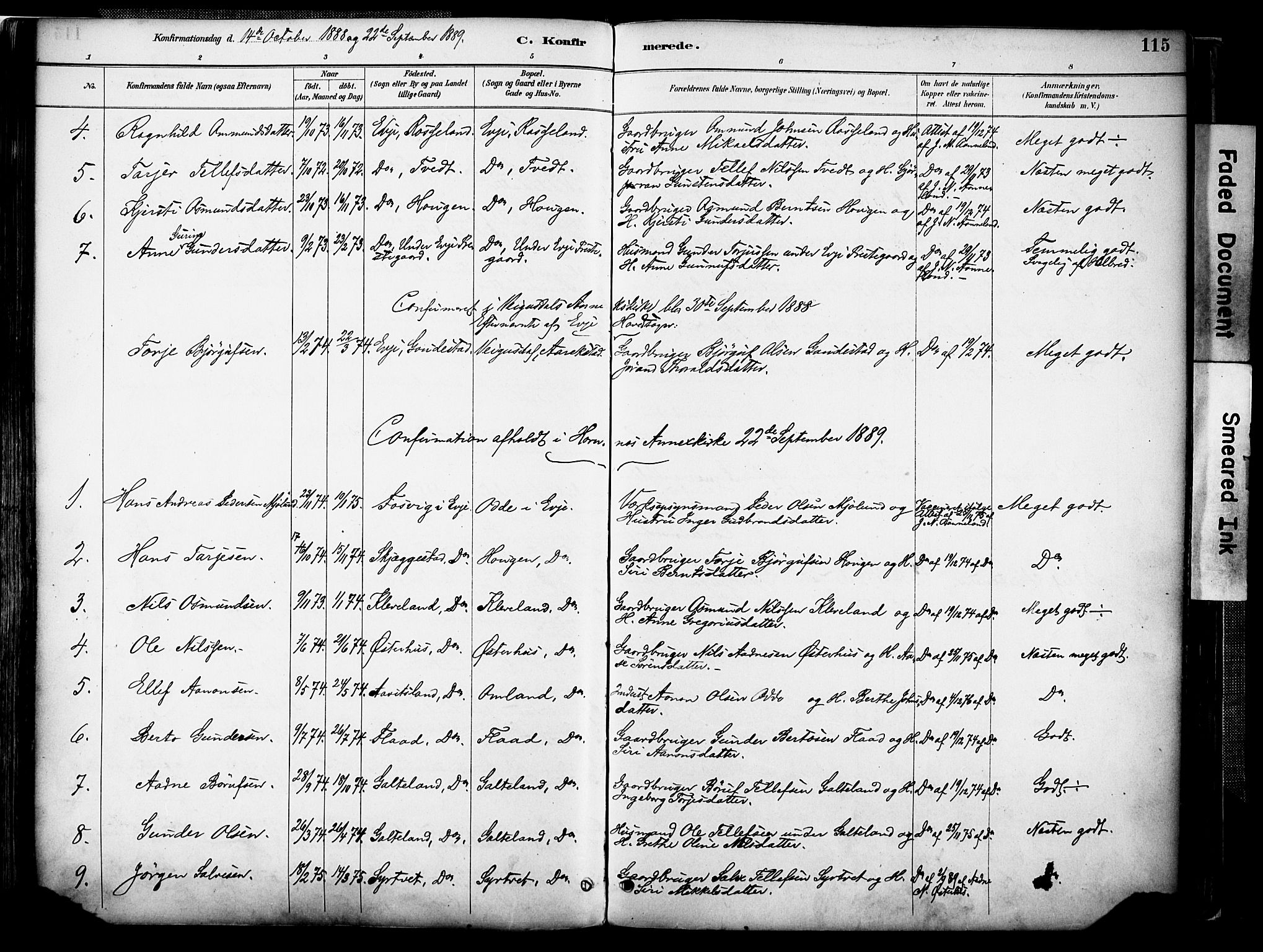 Evje sokneprestkontor, AV/SAK-1111-0008/F/Fa/Faa/L0007: Parish register (official) no. A 7, 1884-1909, p. 115