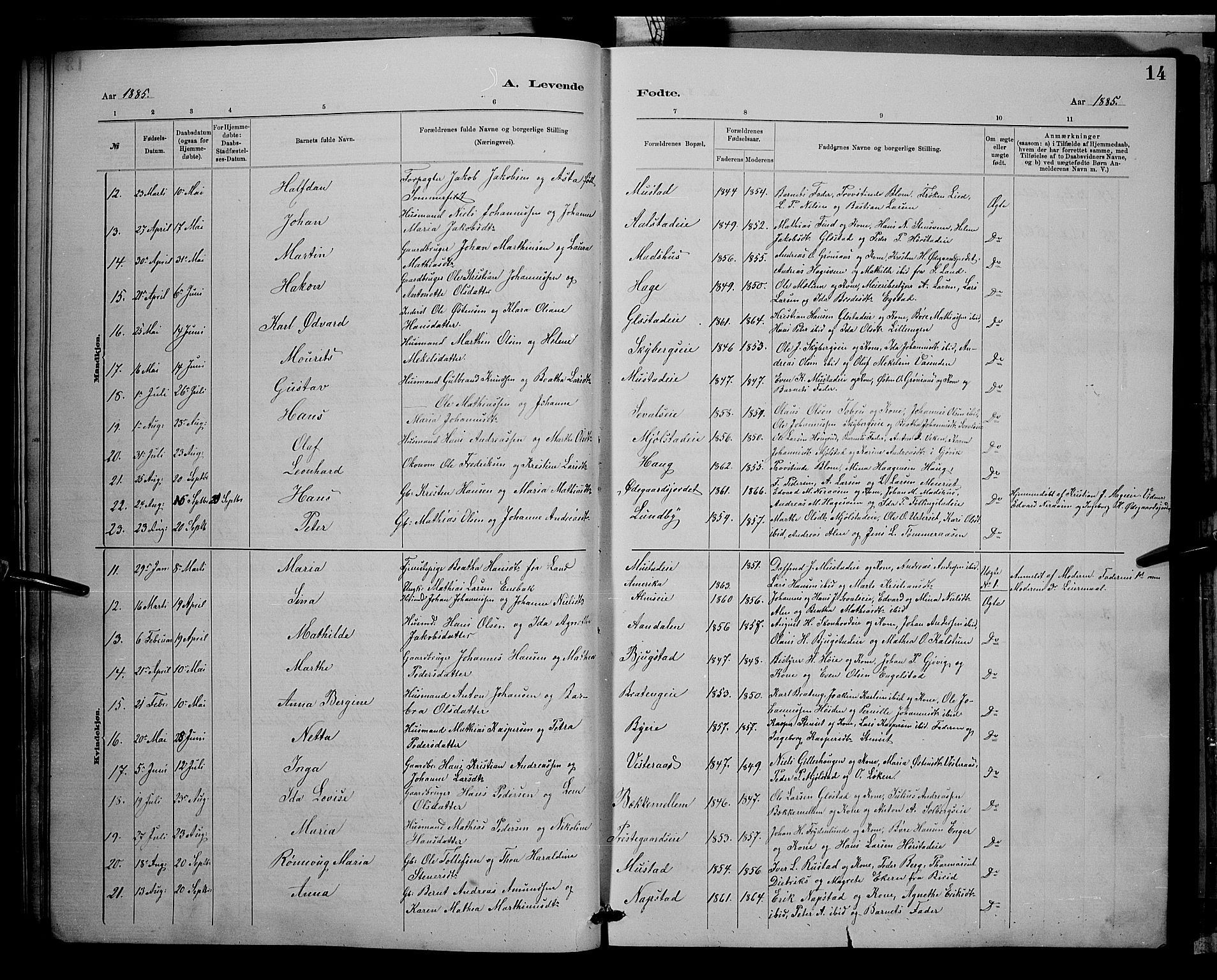 Vardal prestekontor, SAH/PREST-100/H/Ha/Hab/L0008: Parish register (copy) no. 8, 1881-1898, p. 14