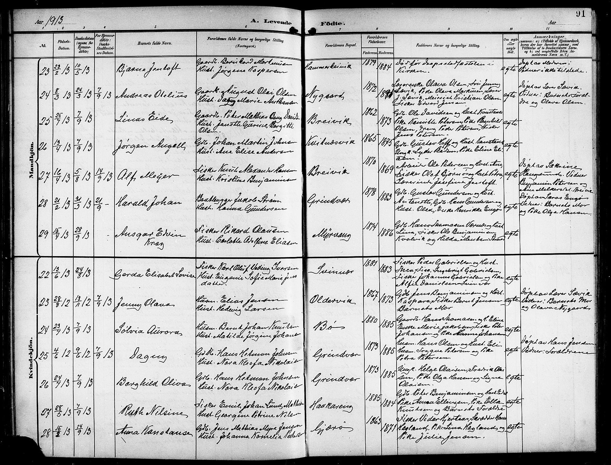 Ministerialprotokoller, klokkerbøker og fødselsregistre - Nordland, AV/SAT-A-1459/841/L0621: Parish register (copy) no. 841C05, 1897-1923, p. 91