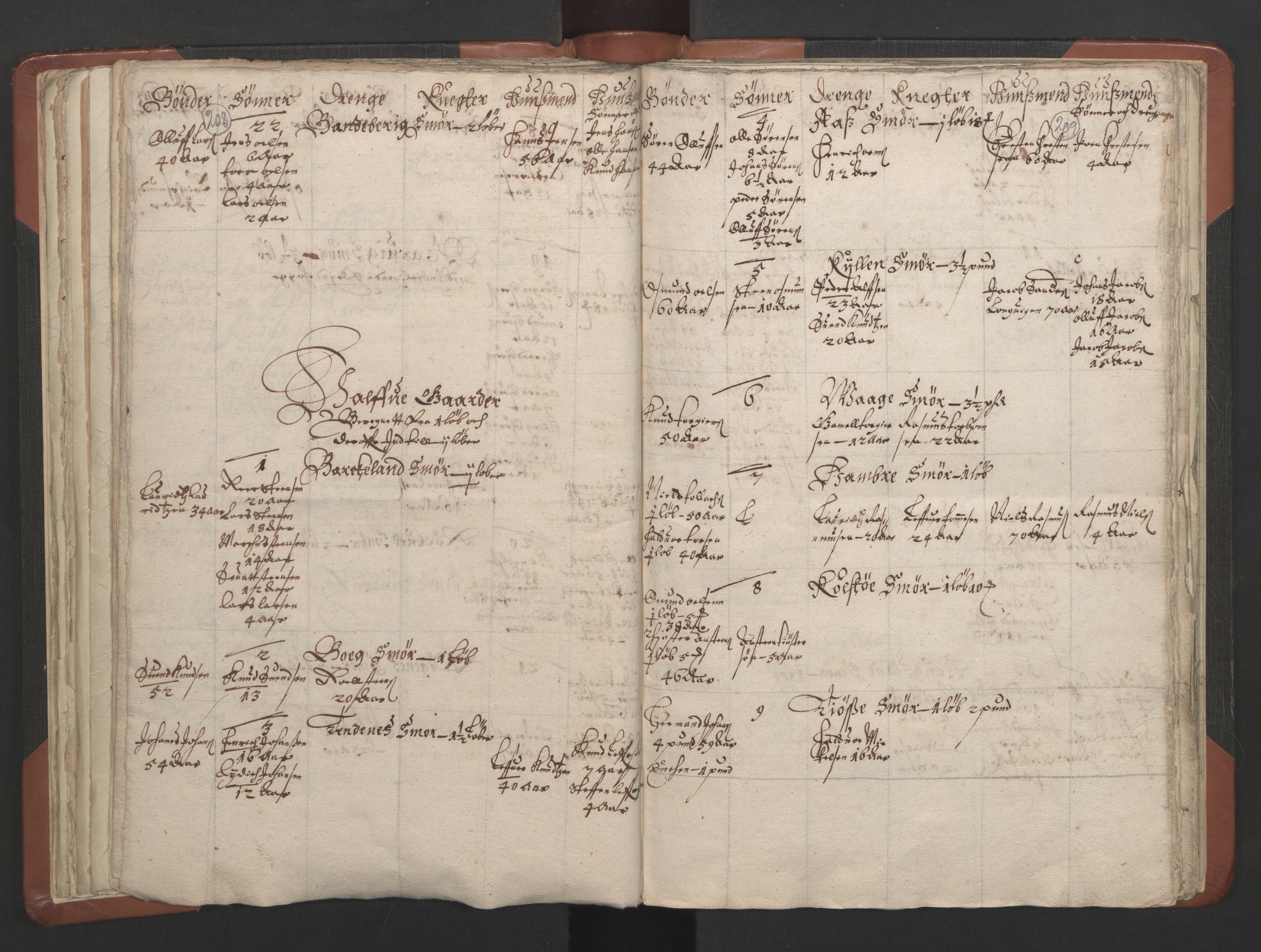 RA, Vicar's Census 1664-1666, no. 19: Ryfylke deanery, 1664-1666, p. 208-209