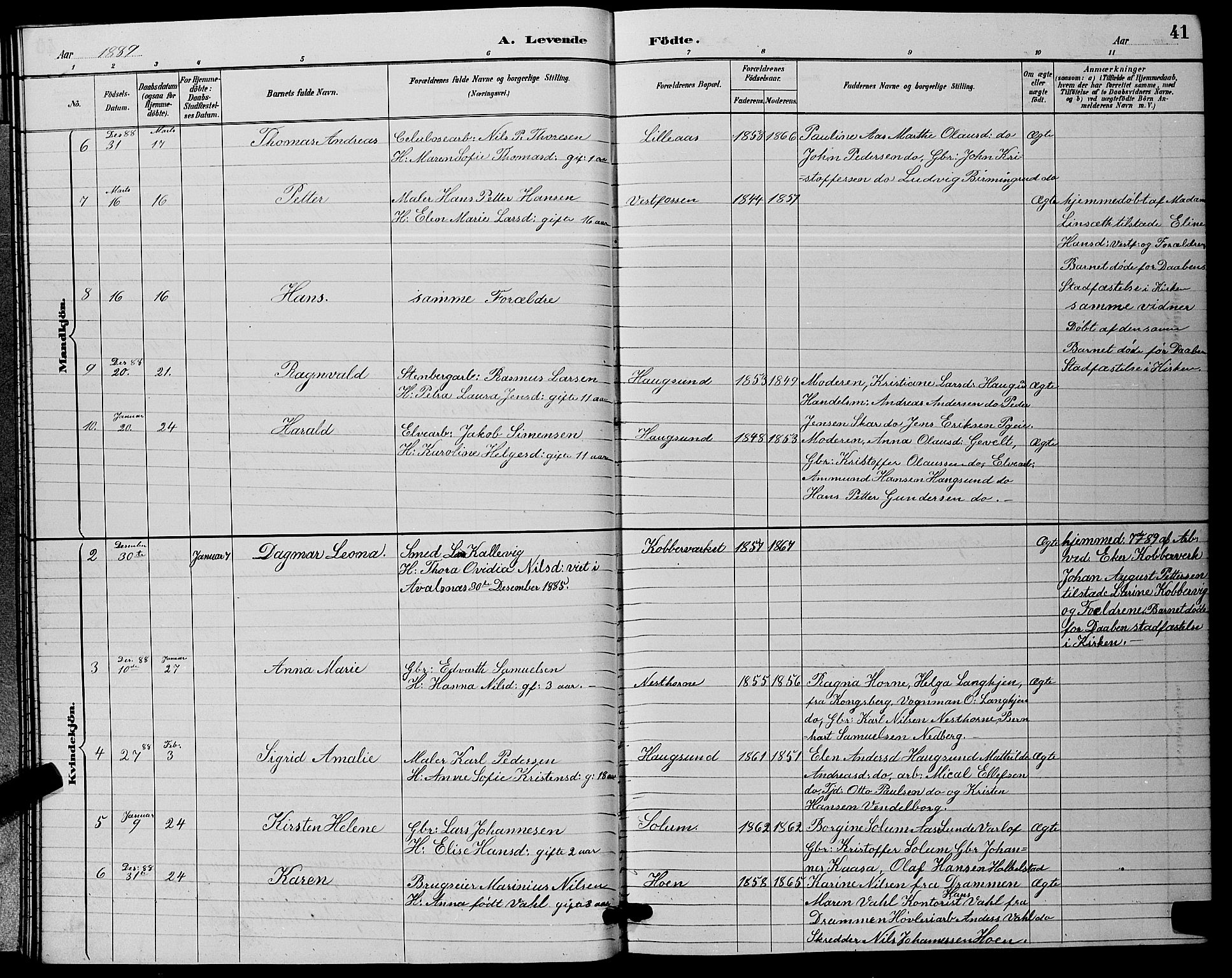 Eiker kirkebøker, SAKO/A-4/G/Ga/L0006: Parish register (copy) no. I 6, 1885-1893, p. 41