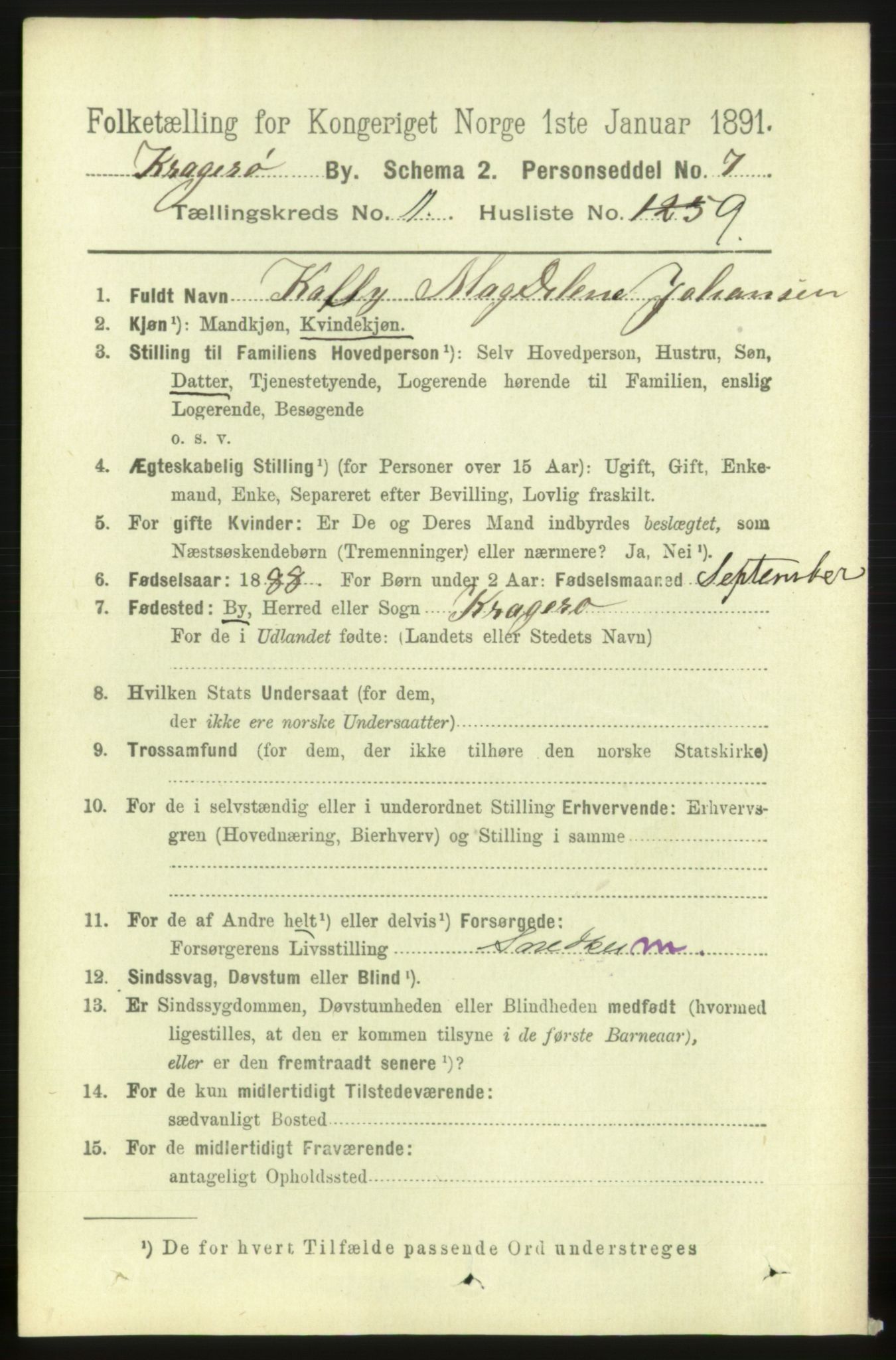 RA, 1891 census for 0801 Kragerø, 1891, p. 3914