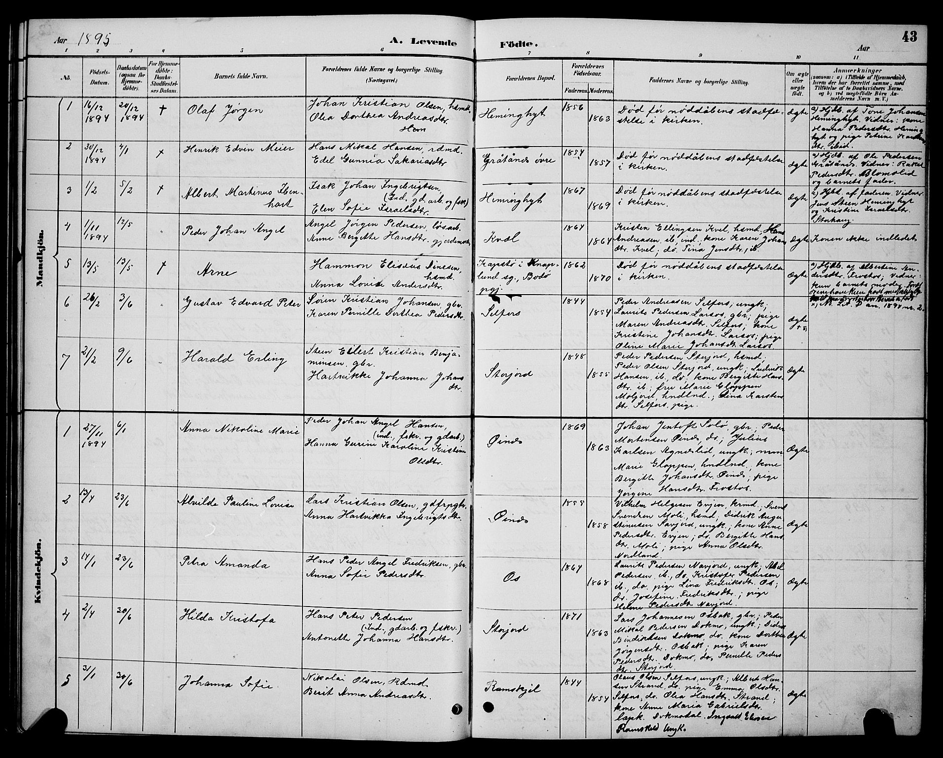 Ministerialprotokoller, klokkerbøker og fødselsregistre - Nordland, AV/SAT-A-1459/846/L0654: Parish register (copy) no. 846C04, 1887-1901, p. 43