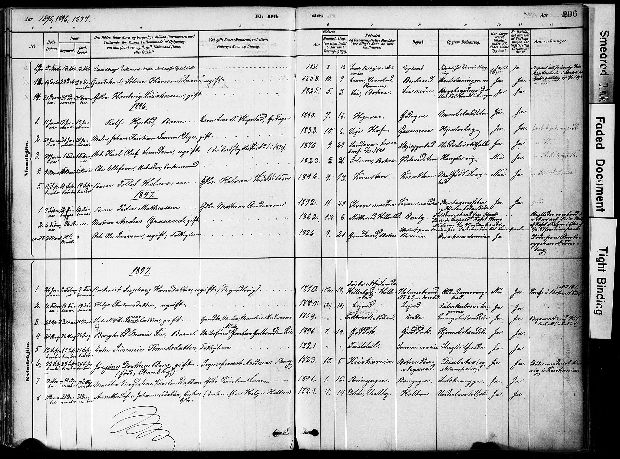 Botne kirkebøker, AV/SAKO-A-340/F/Fa/L0007: Parish register (official) no. I 7, 1878-1910, p. 296