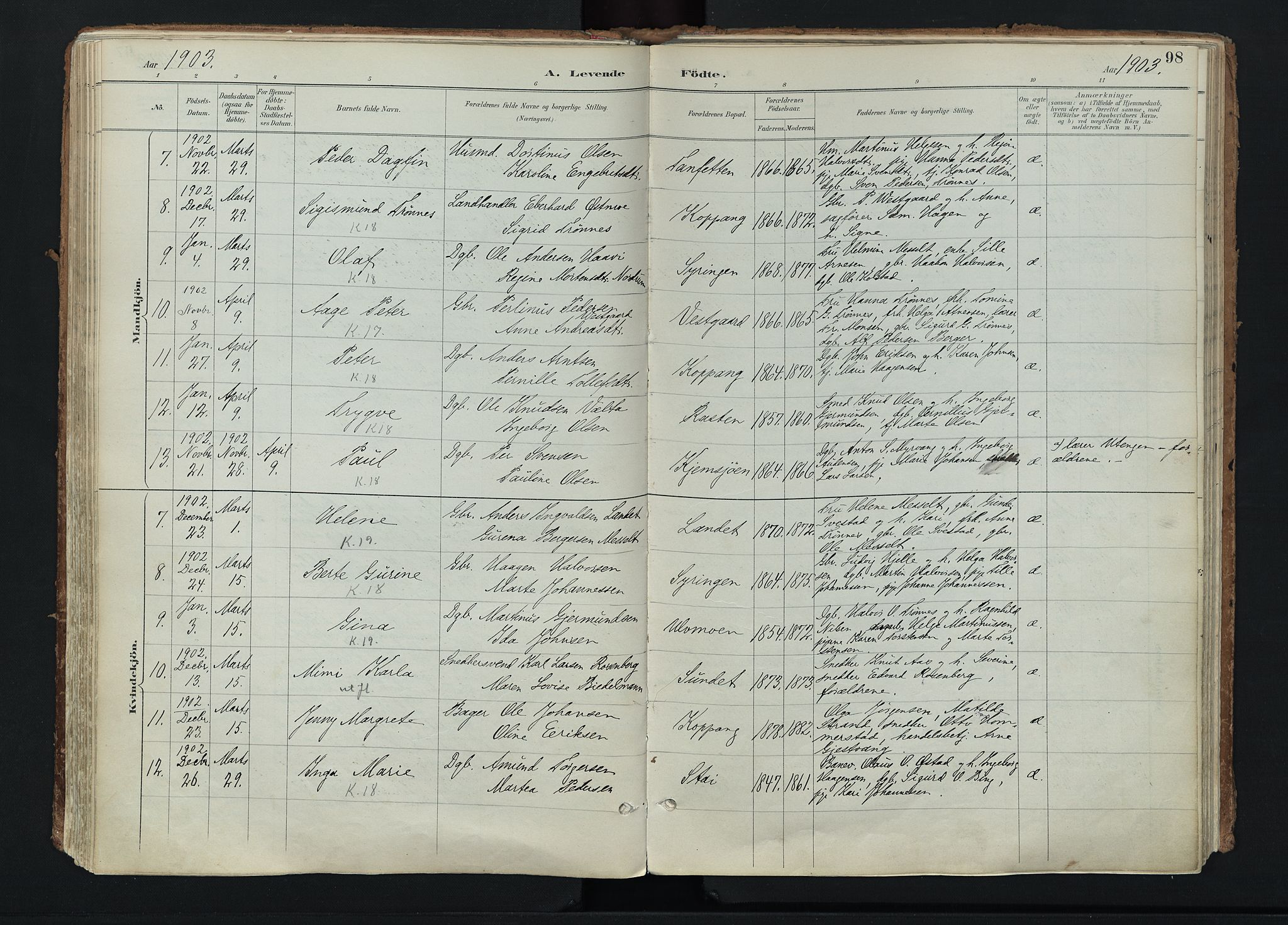 Stor-Elvdal prestekontor, SAH/PREST-052/H/Ha/Haa/L0004: Parish register (official) no. 4, 1890-1922, p. 98